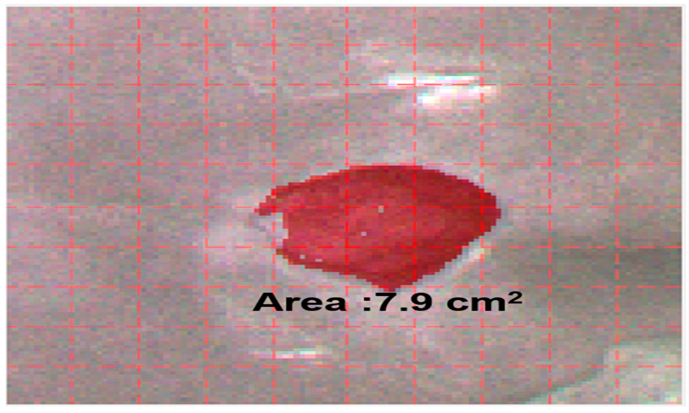 Ijerph 20 02851 g003