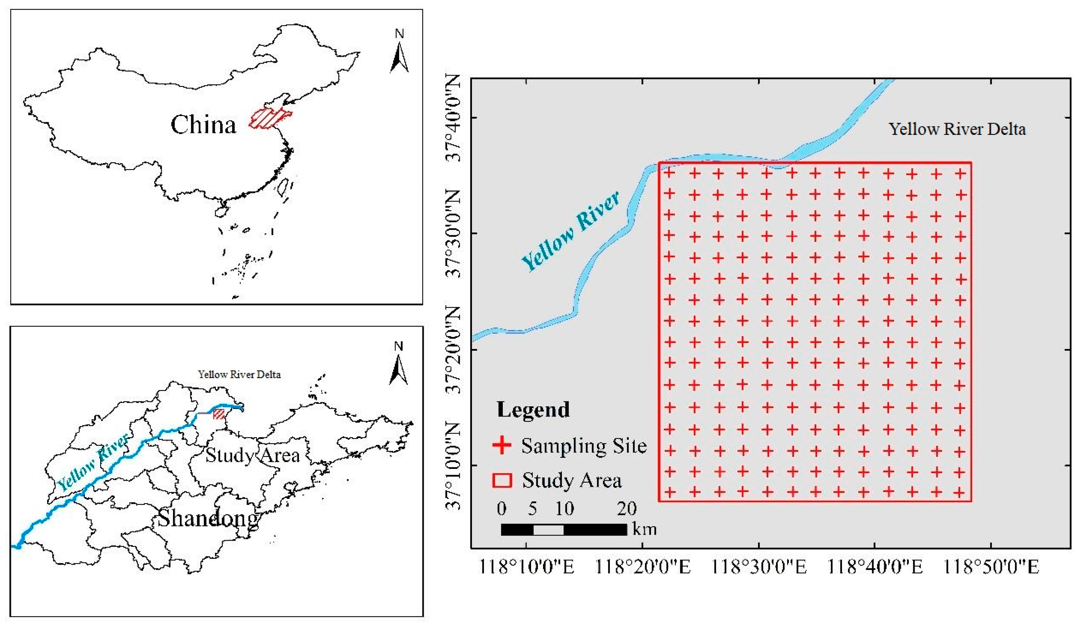 Ijerph 20 02853 g001
