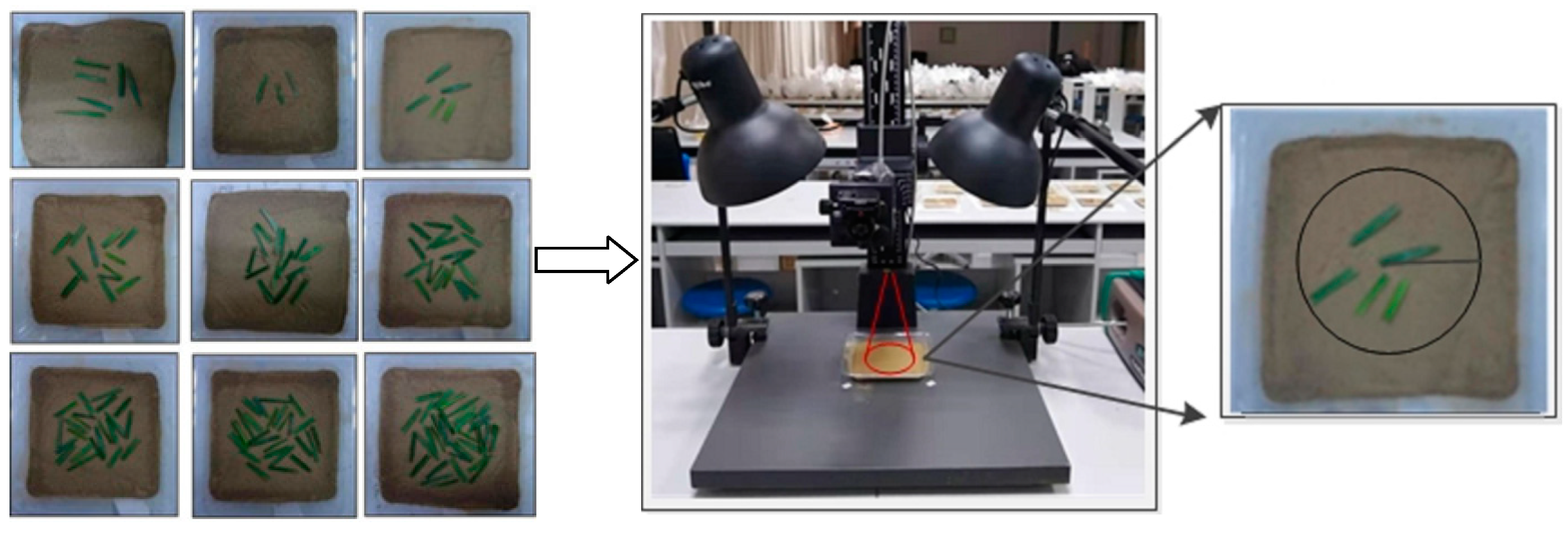 Ijerph 20 02853 g002