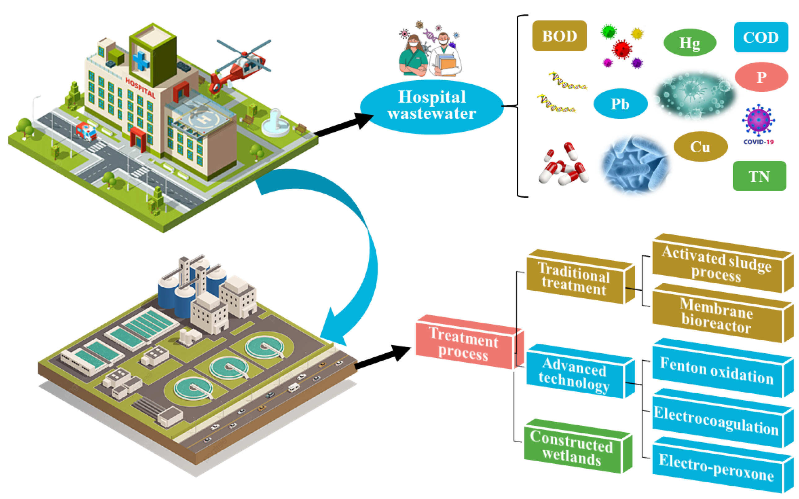 Ijerph 20 02854 g001