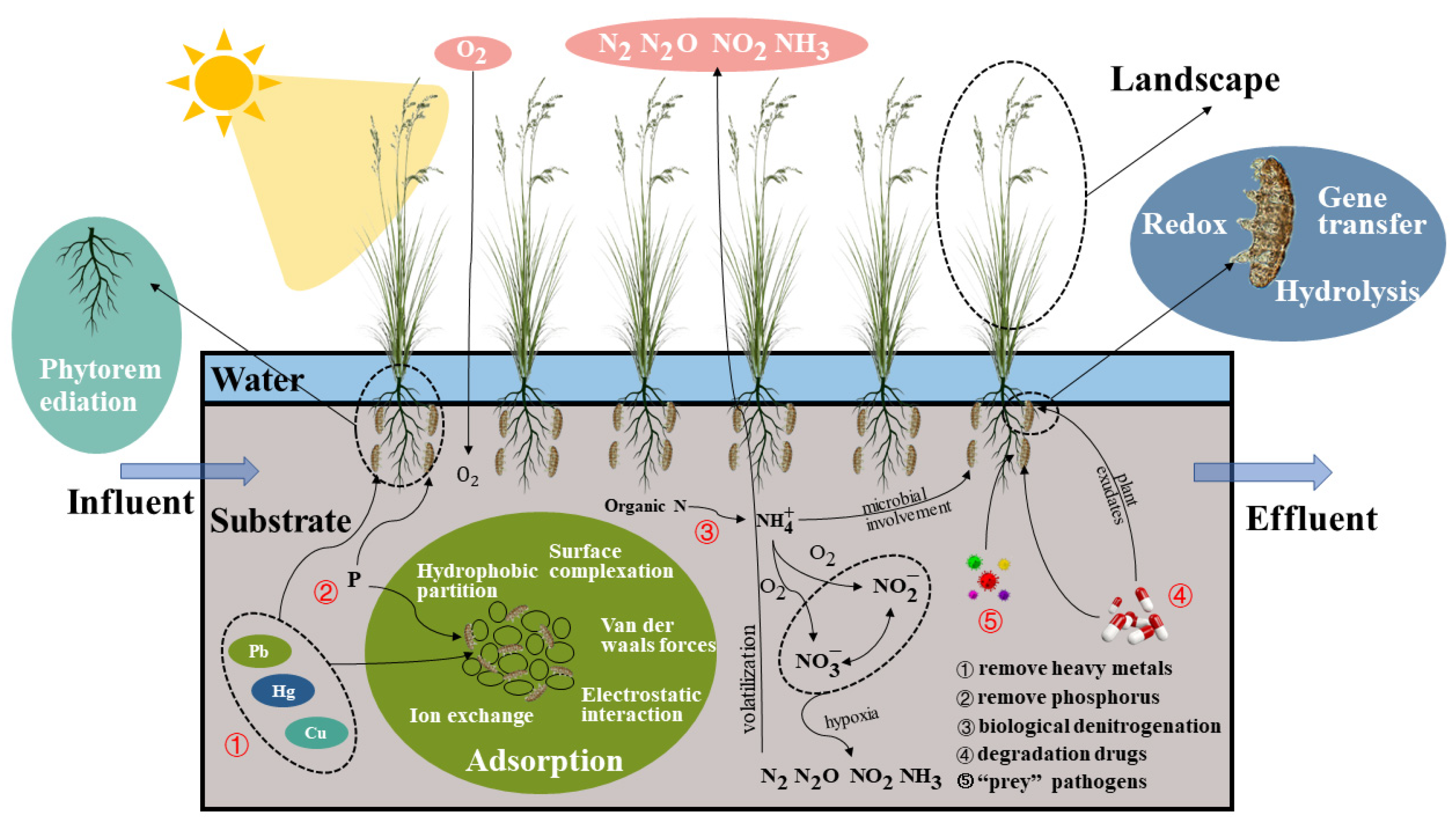 Ijerph 20 02854 g003