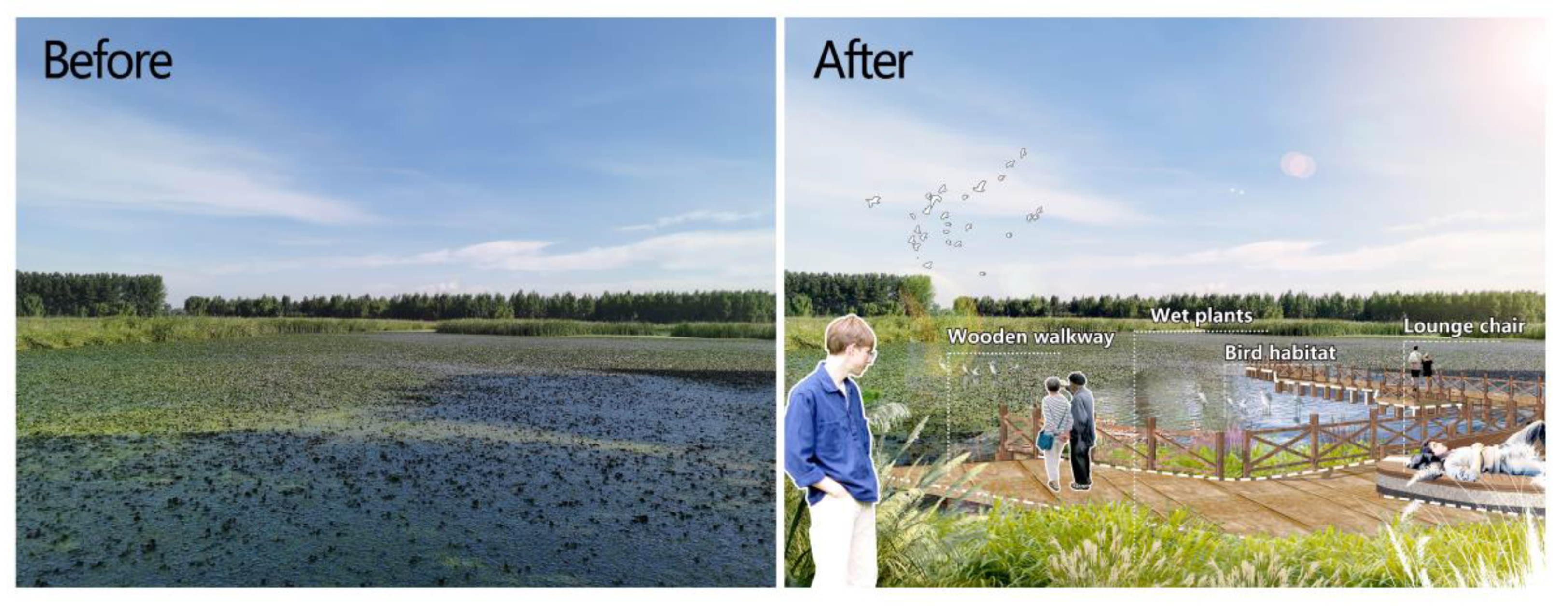 Ijerph 20 02939 g012