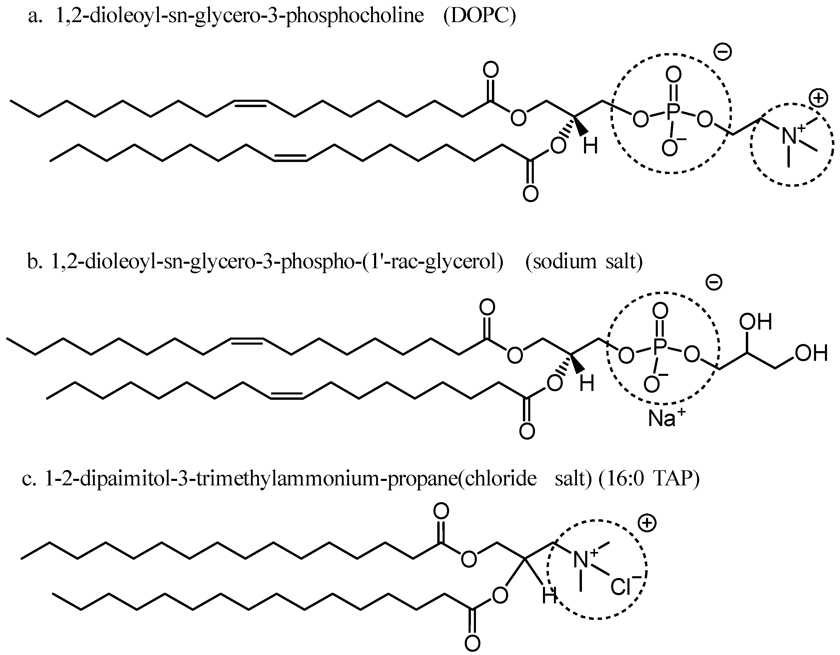 Ijerph 20 02999 g001
