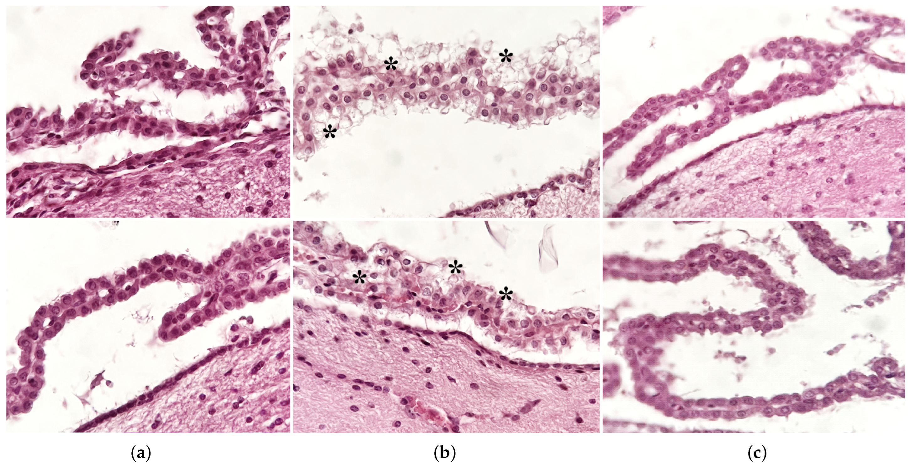Ijerph 20 03025 g006 Ijerph 20 03025 g006