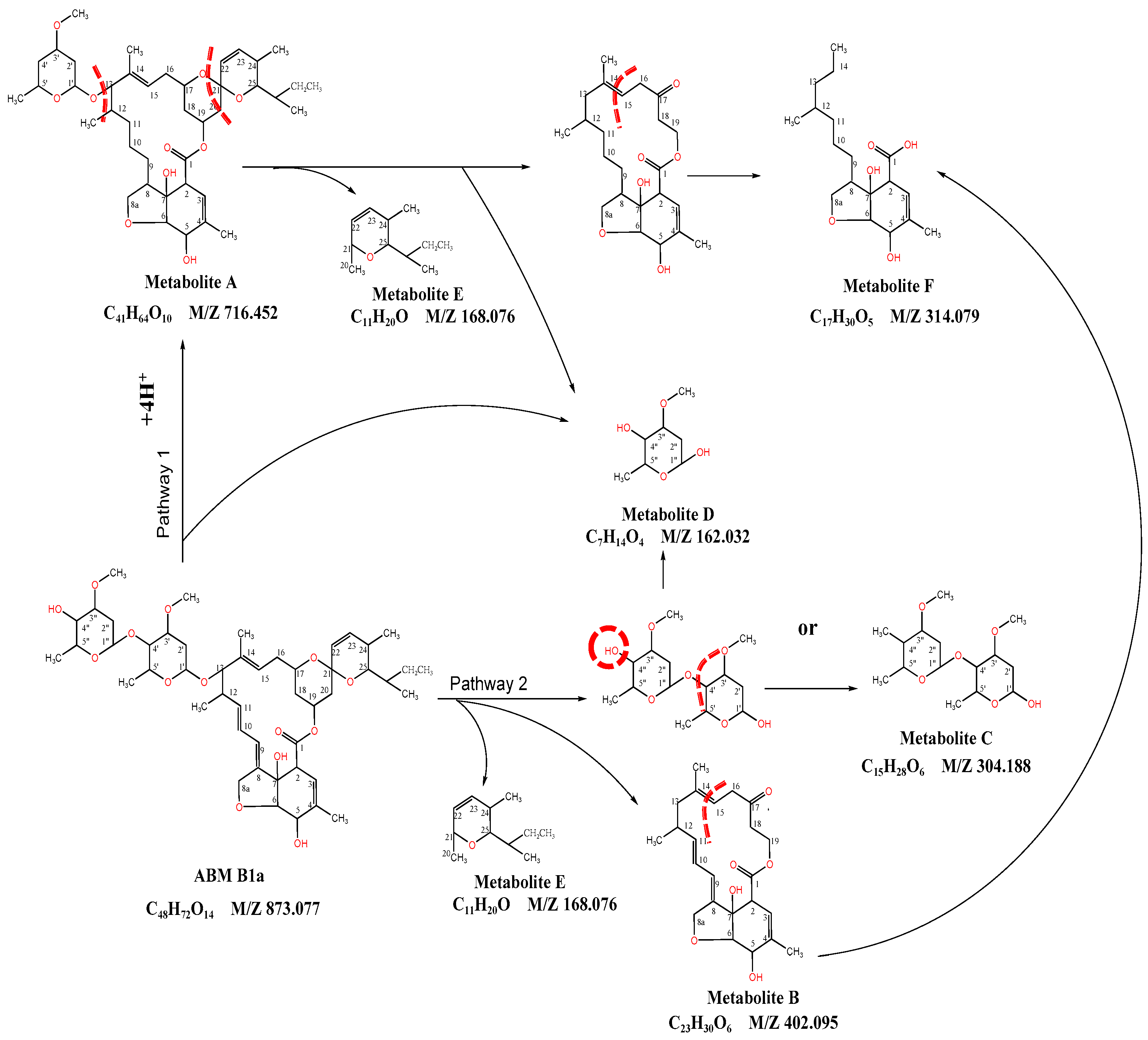 Ijerph 20 03068 g005