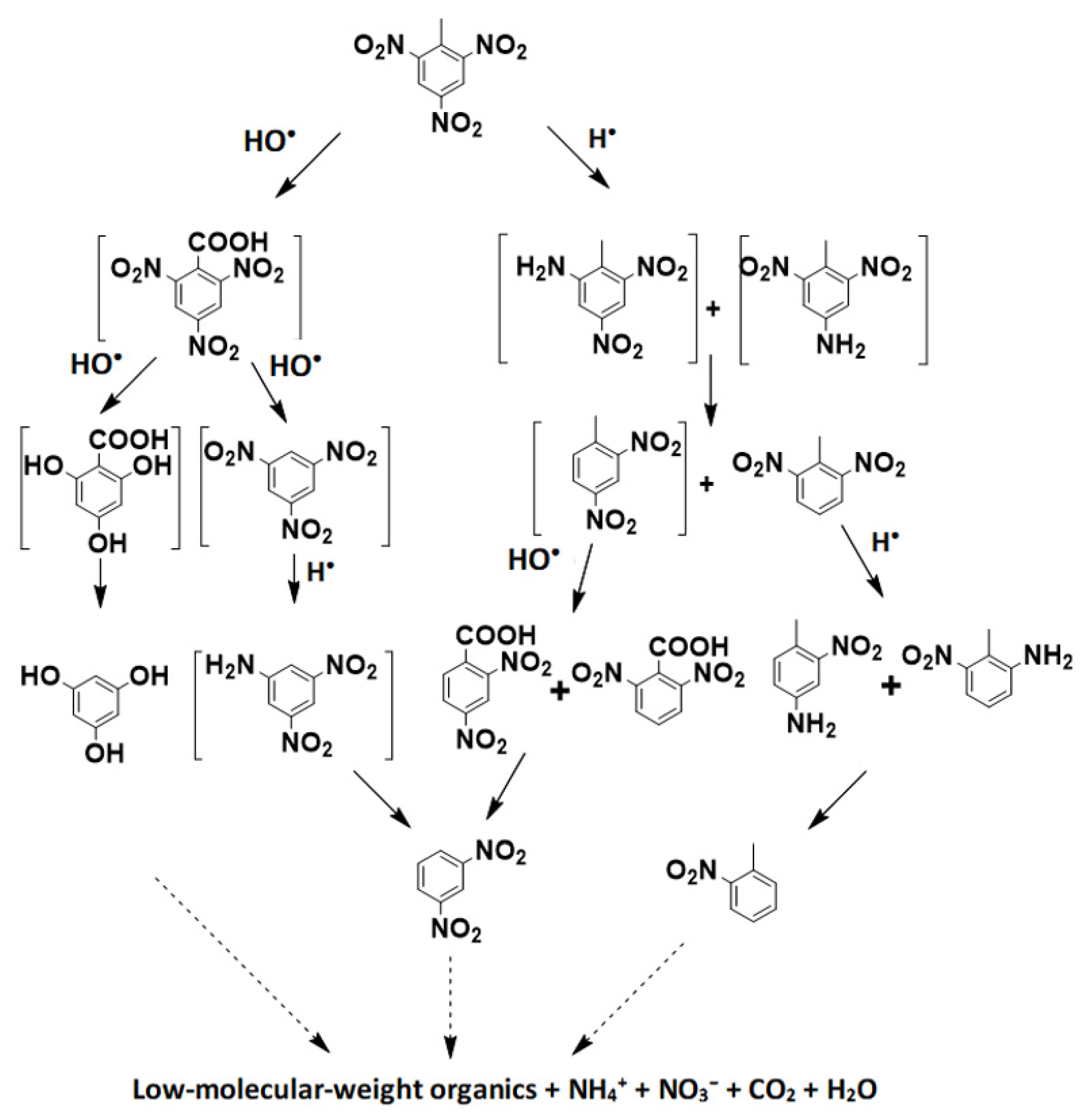 Ijerph 20 03102 g008