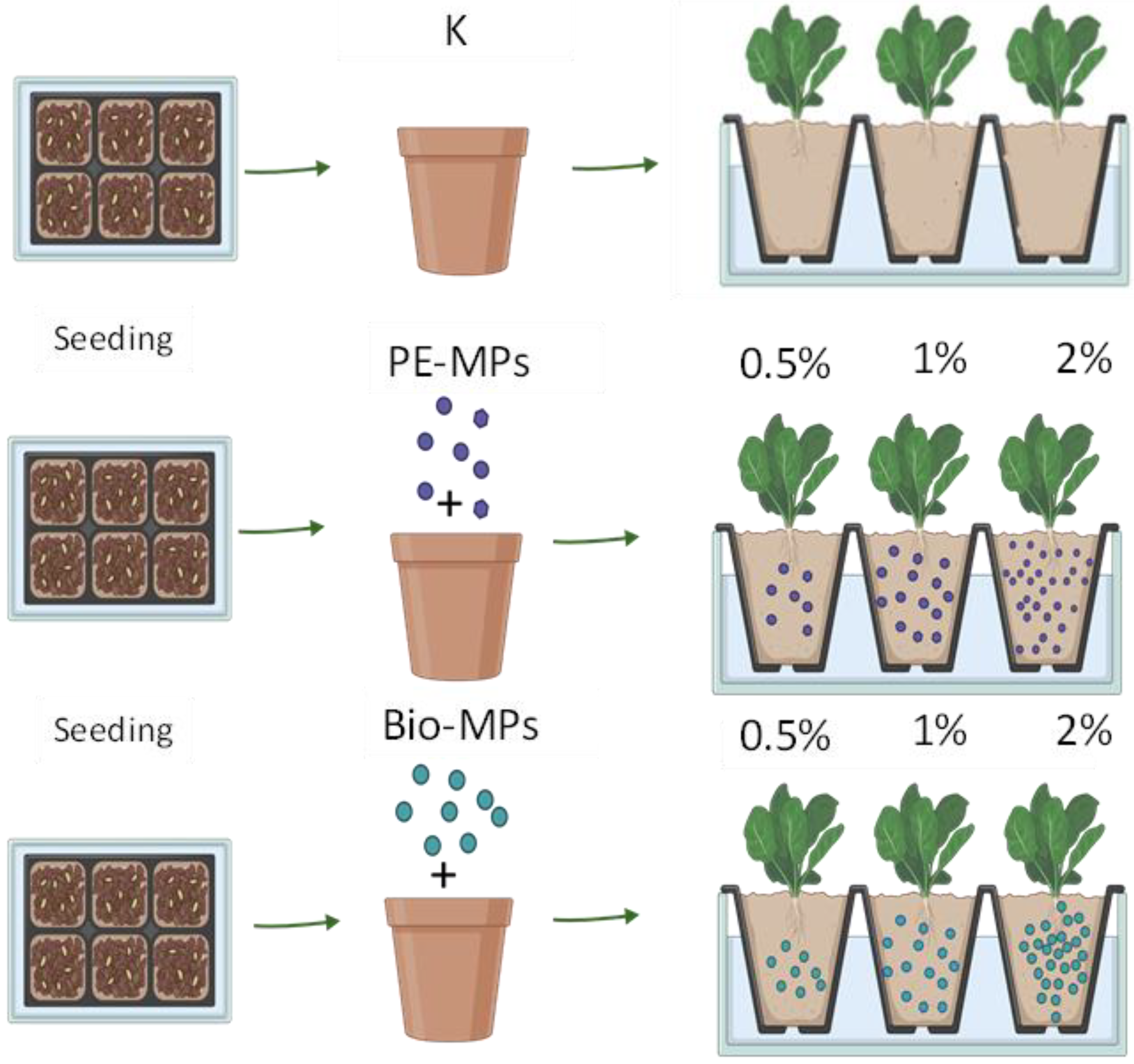 Ijerph 20 03106 g001