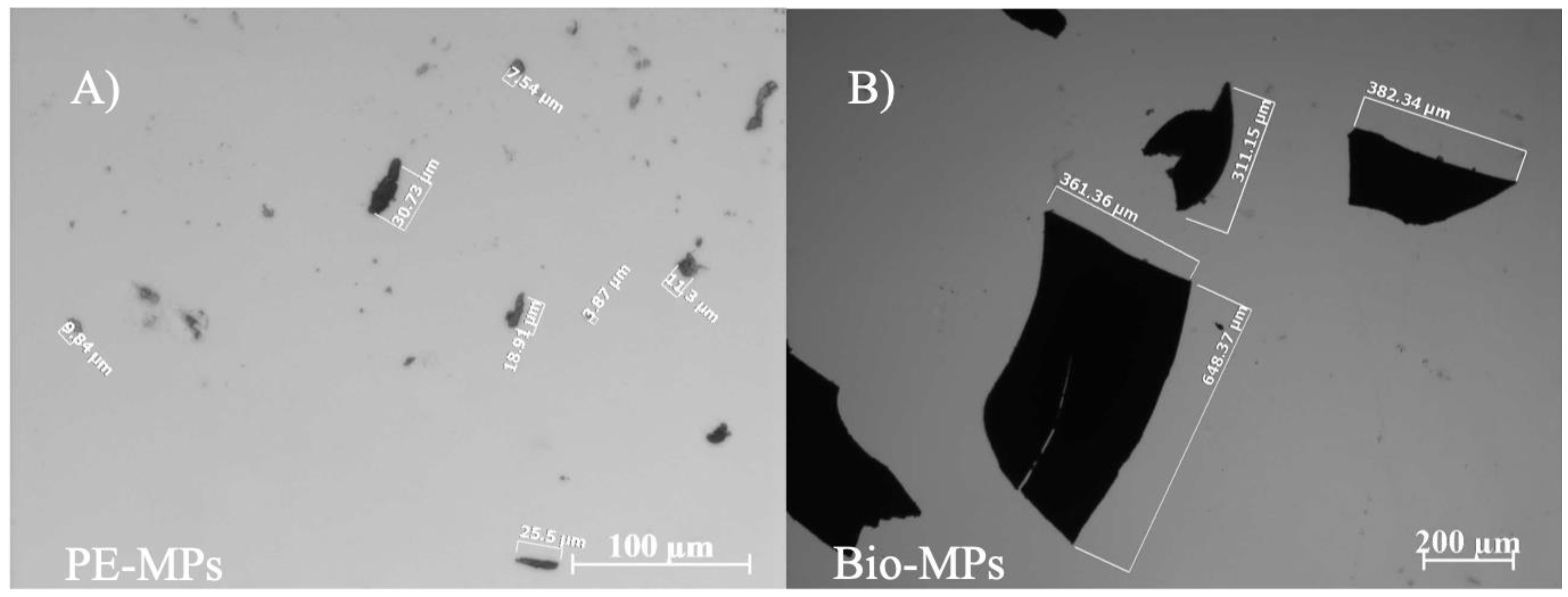 Ijerph 20 03106 g002