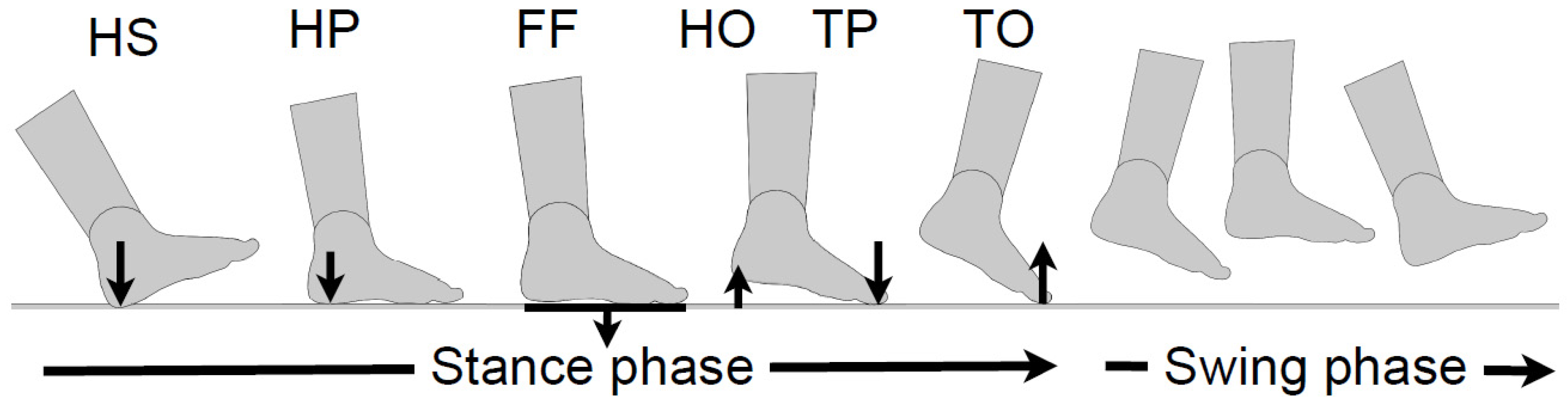 Ijerph 20 03120 g004