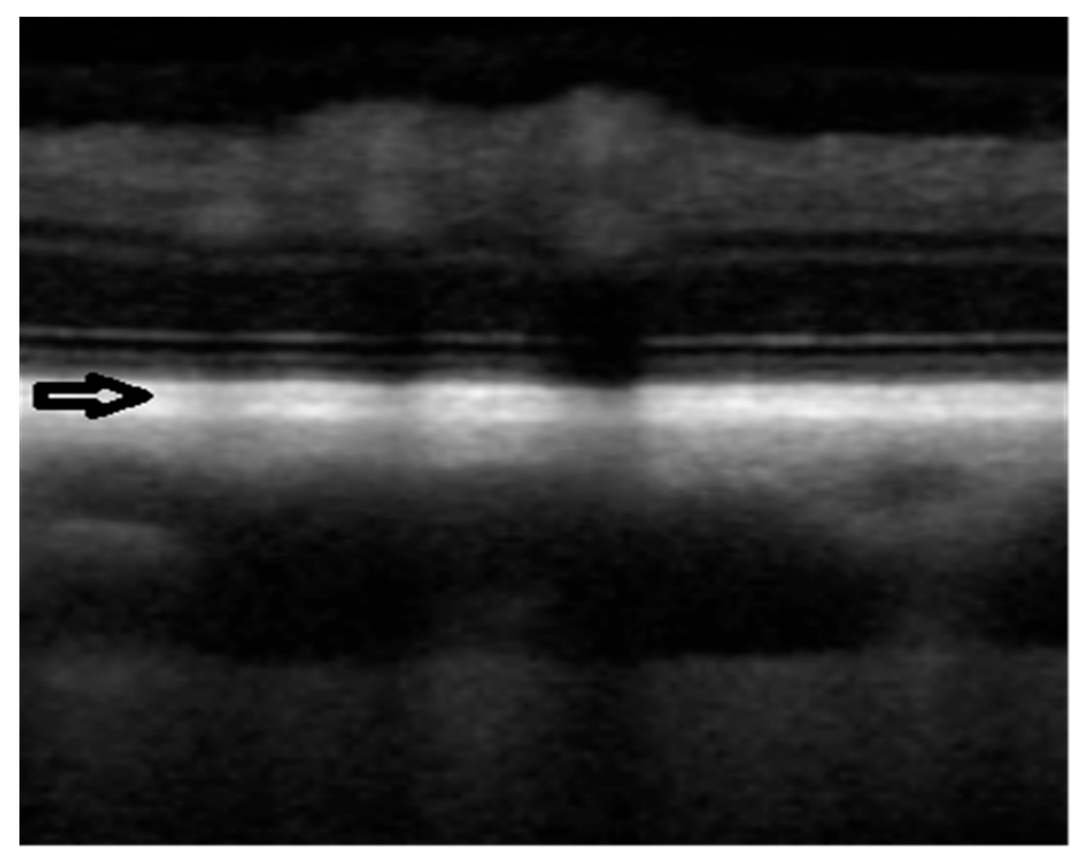 Ijerph 20 03121 g002