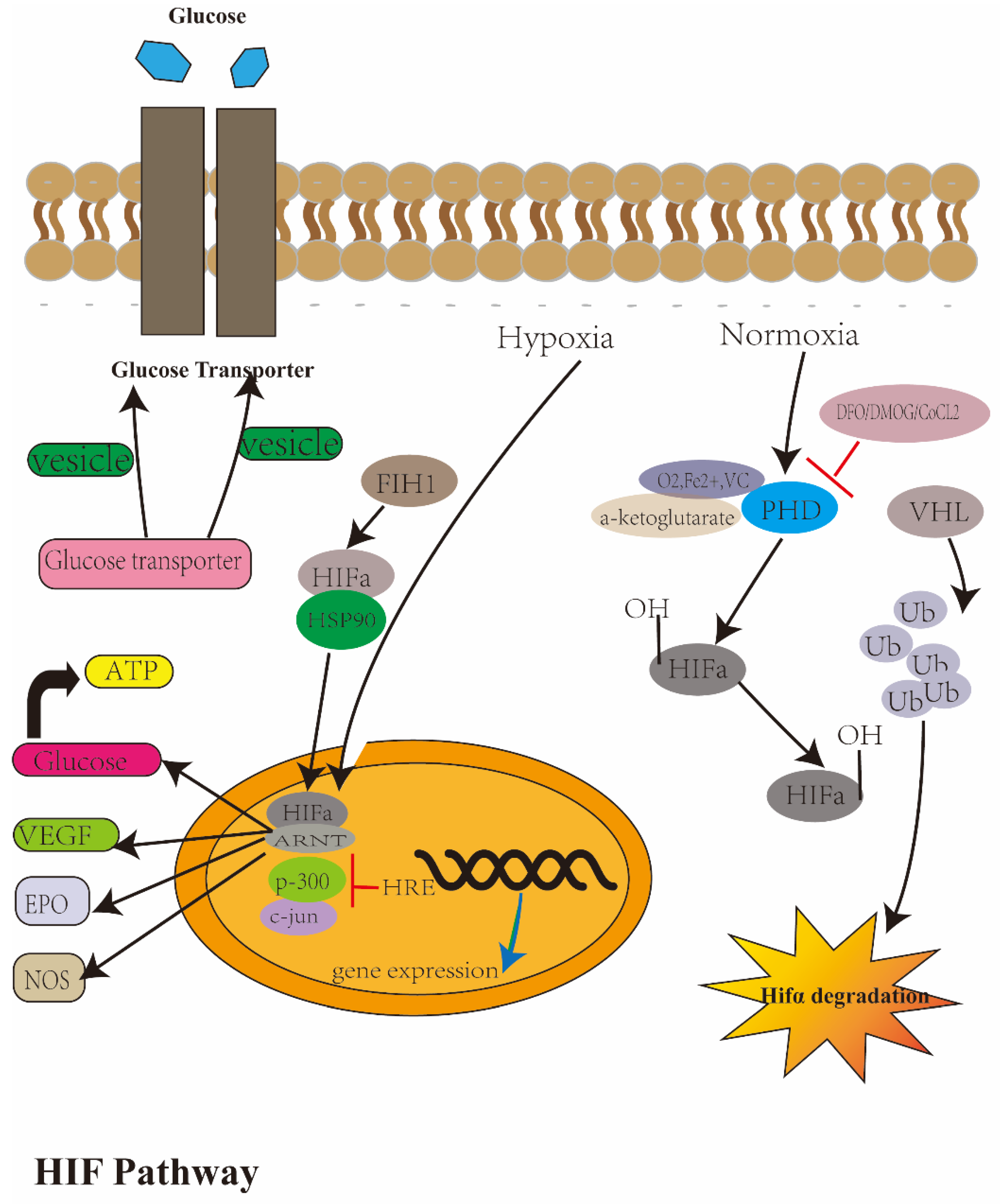 Ijerph 20 03129 g001