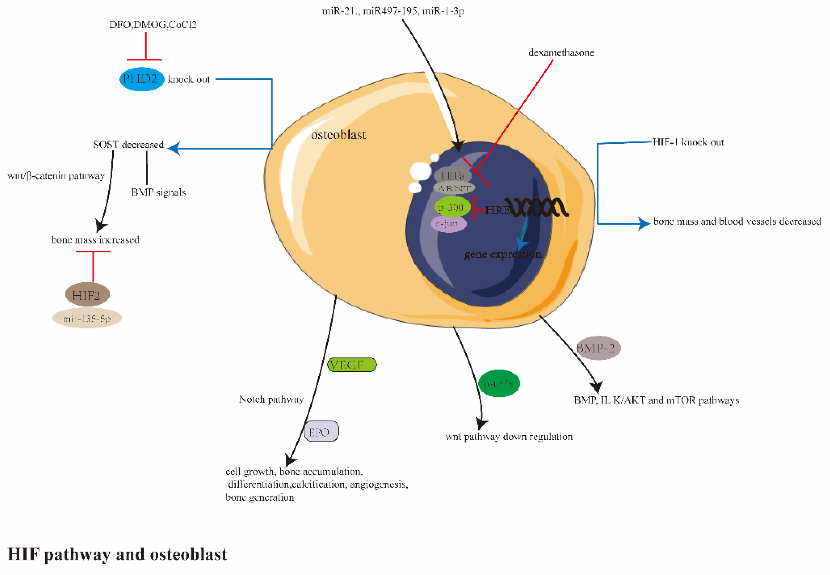 Ijerph 20 03129 g003