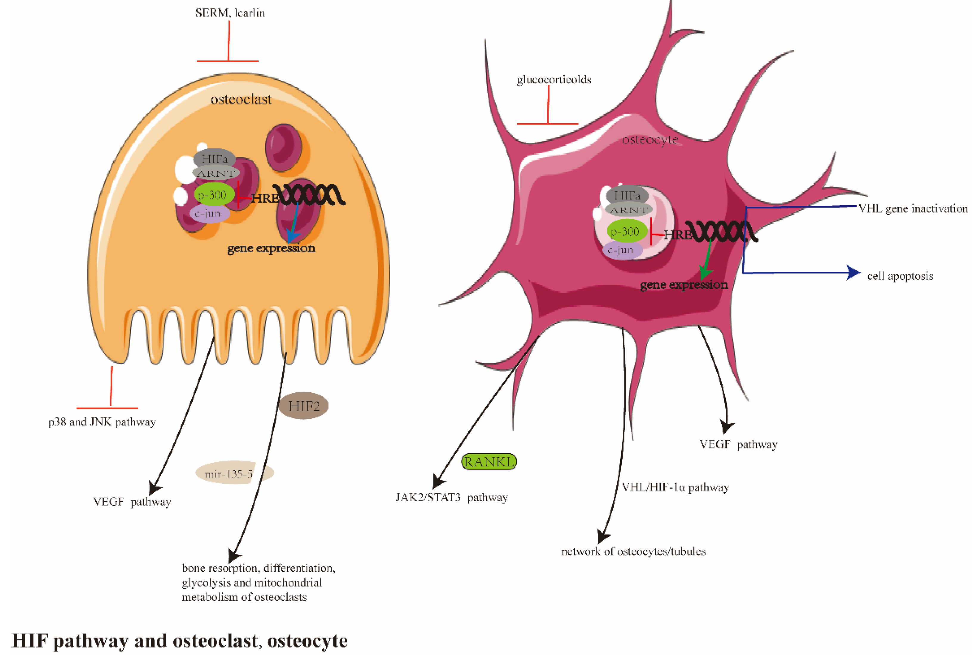 Ijerph 20 03129 g004
