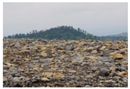 Ijerph 20 03130 i001 Ijerph 20 03130 i001