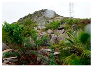 Ijerph 20 03130 i003 Ijerph 20 03130 i003