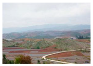 Ijerph 20 03130 i005 Ijerph 20 03130 i005