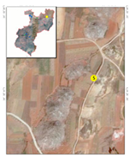 Ijerph 20 03130 i006 Ijerph 20 03130 i006