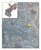 Ijerph 20 03130 i010 Ijerph 20 03130 i010