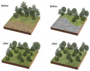 Ijerph 20 03155 i001