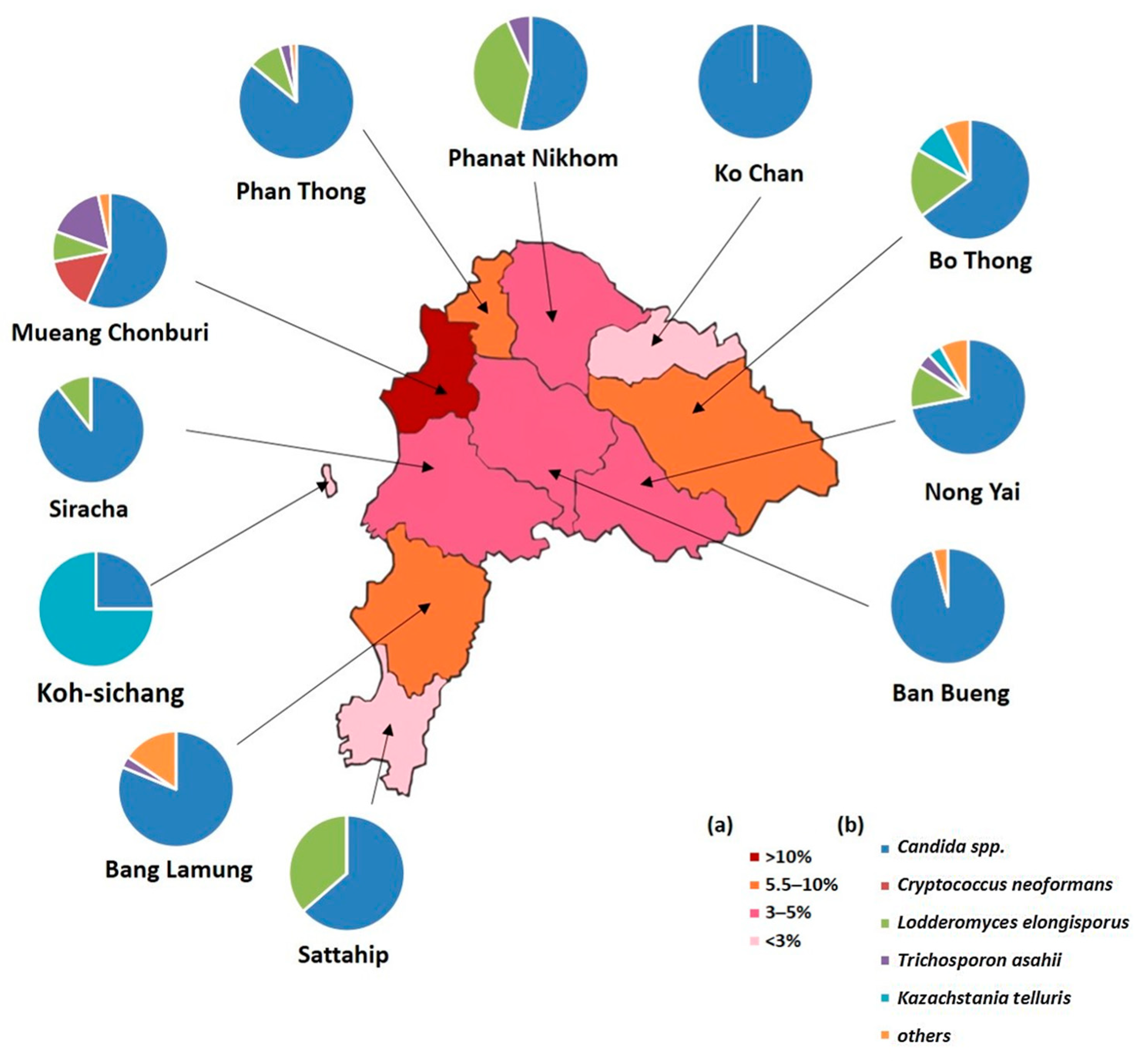 Ijerph 20 03191 g003