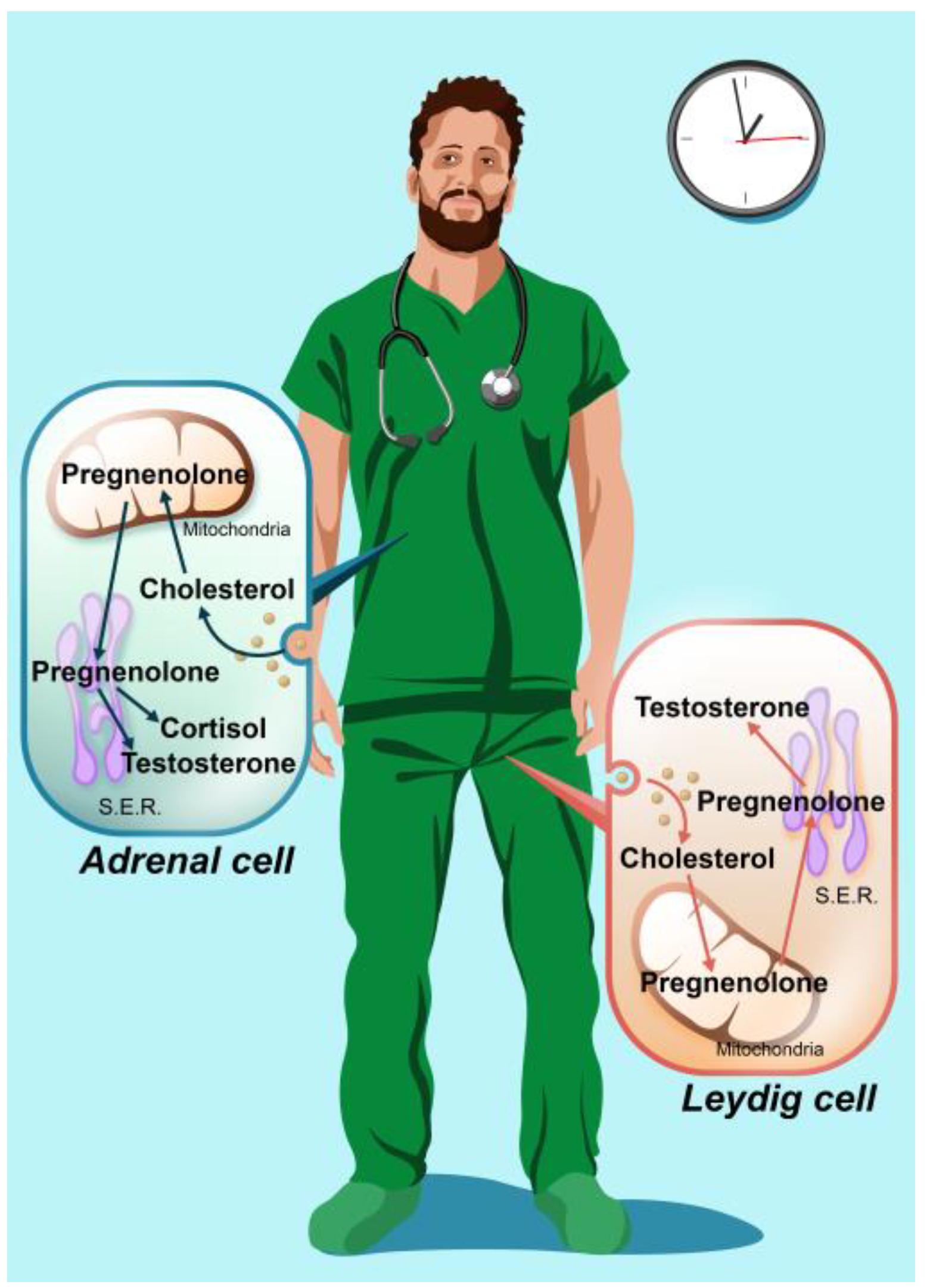 Ijerph 20 03195 g001