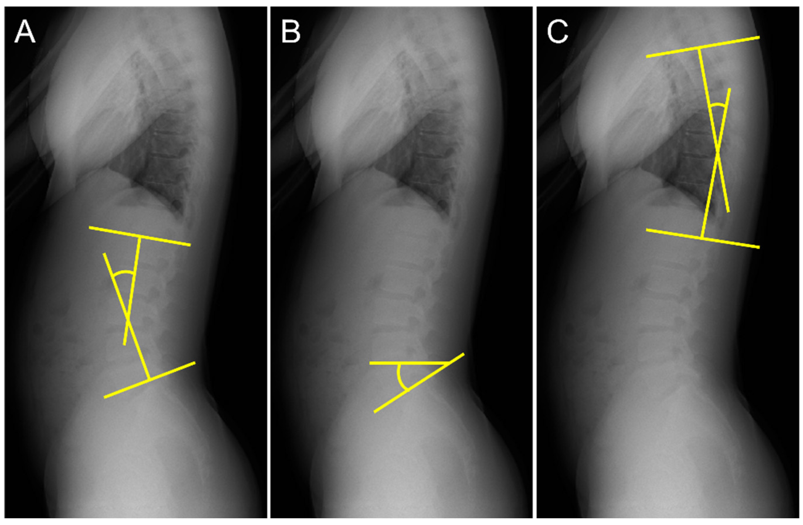 Ijerph 20 03231 g002