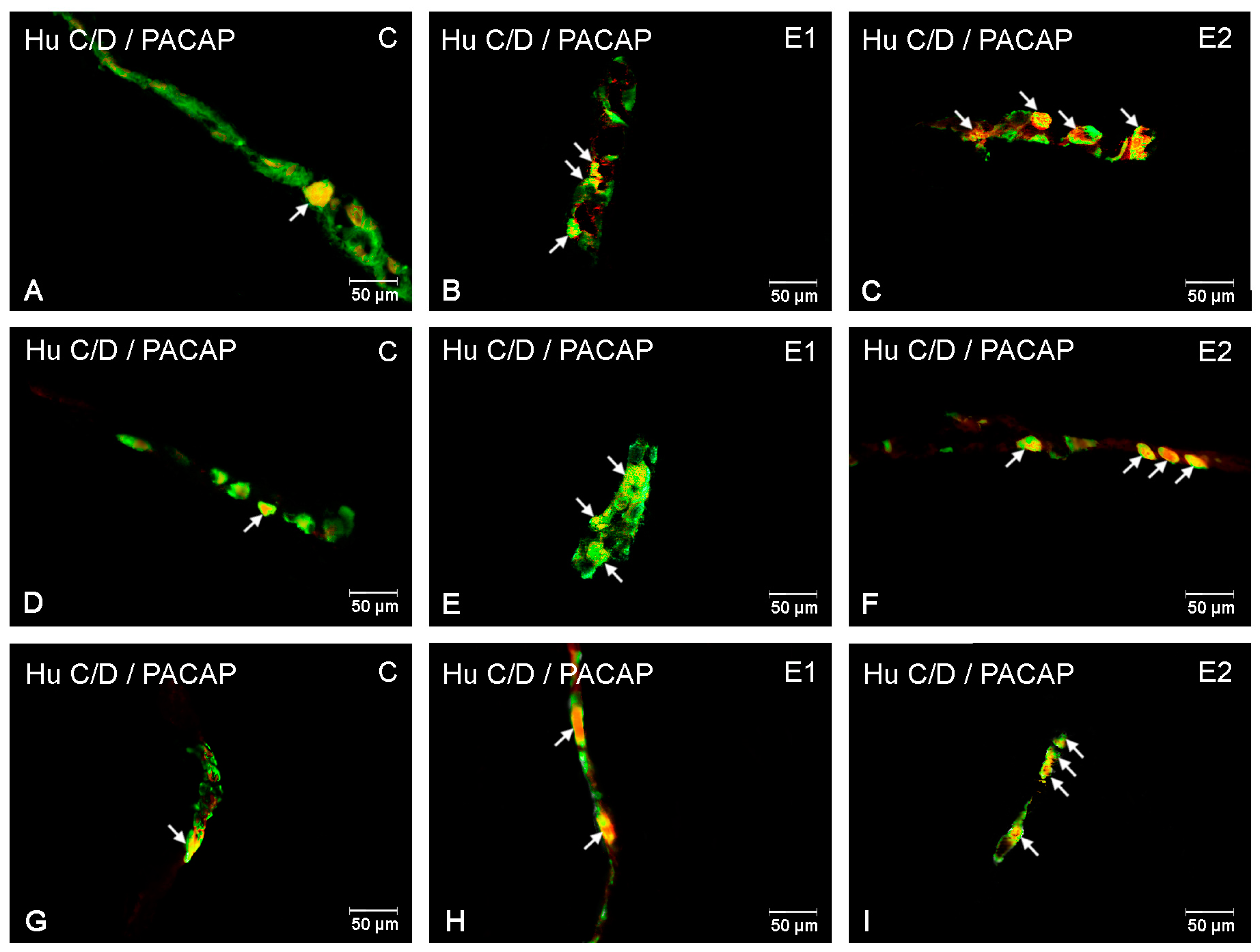 Ijerph 20 03272 g006