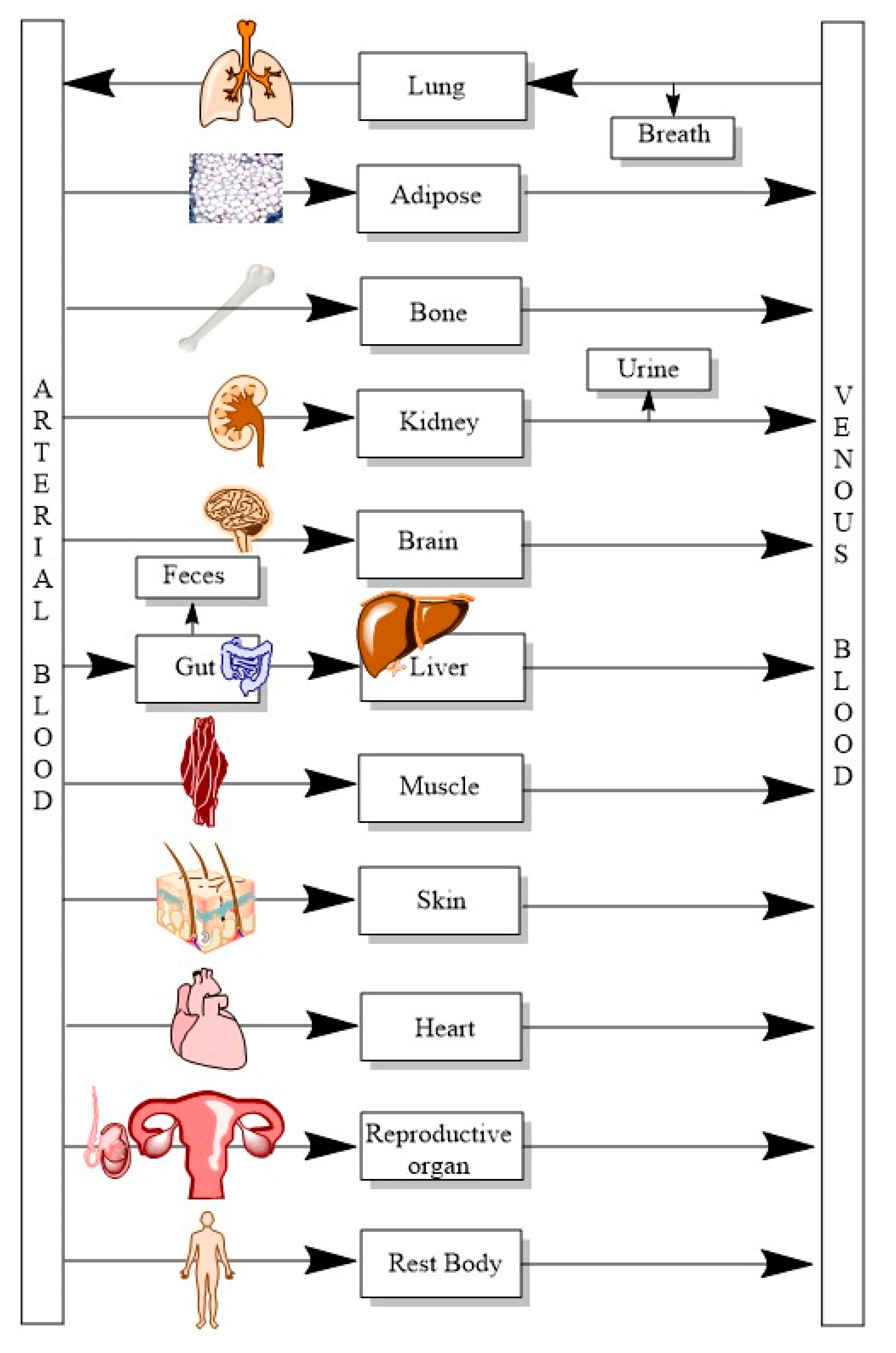 Ijerph 20 03473 g003 Ijerph 20 03473 g003