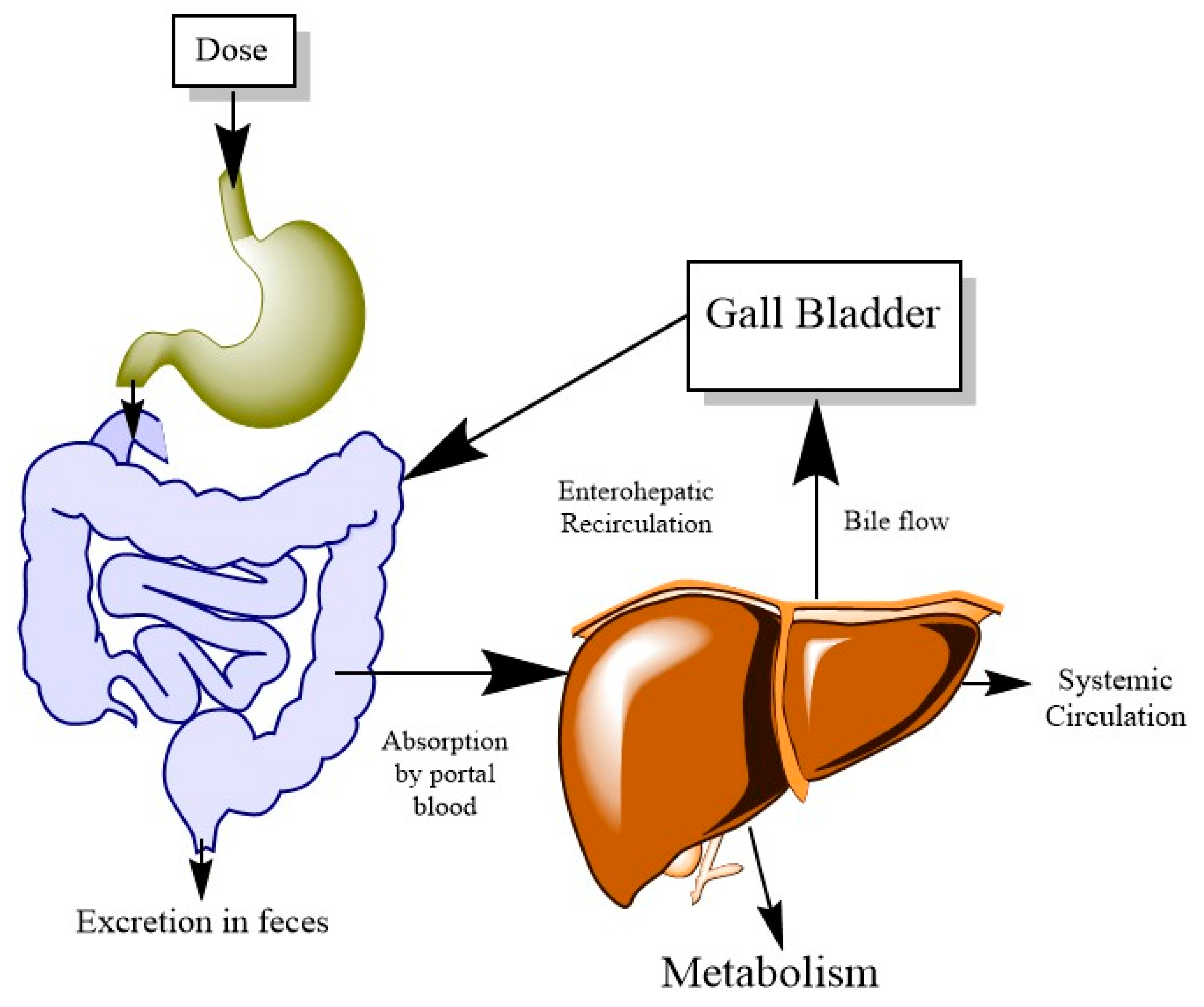 Ijerph 20 03473 g004 Ijerph 20 03473 g004