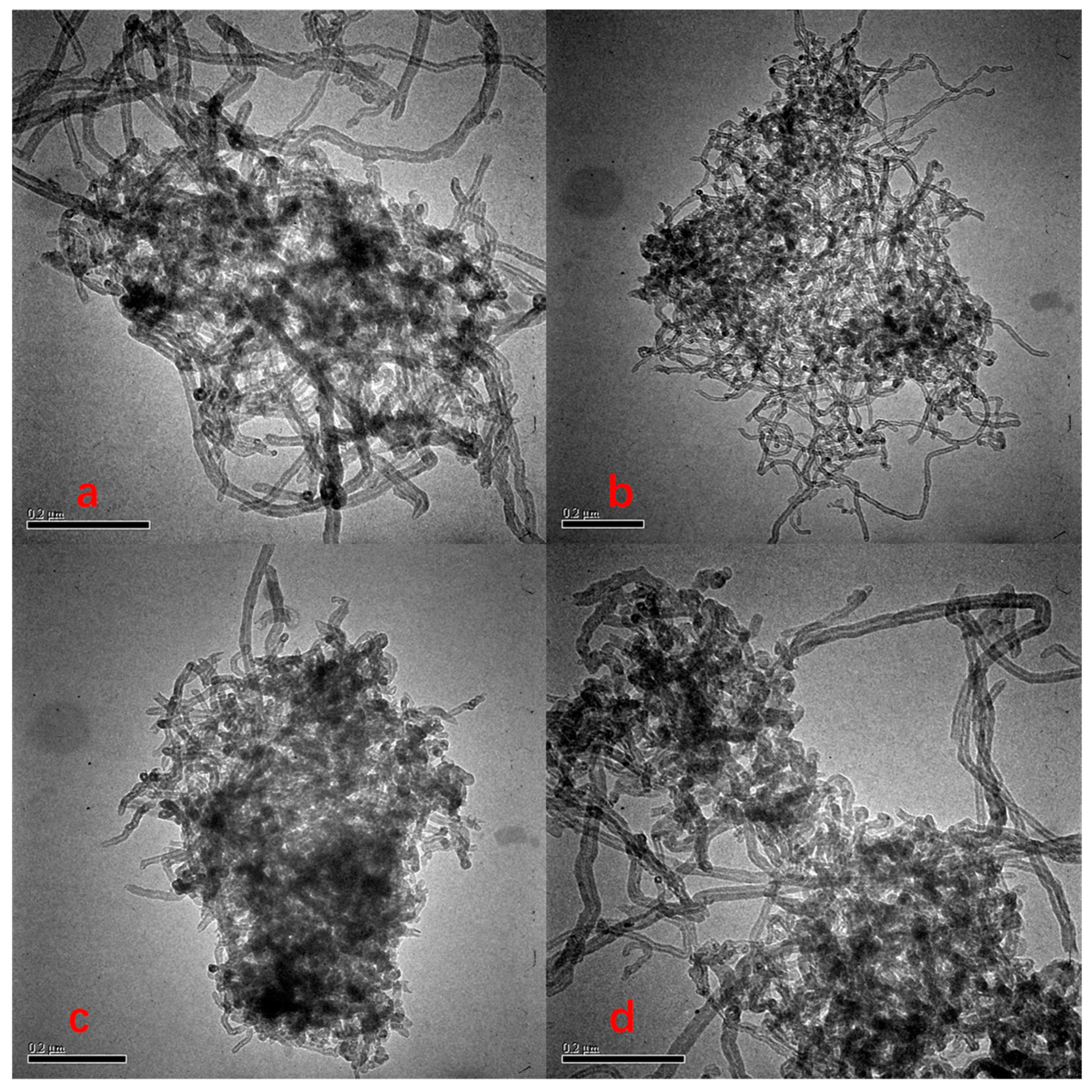 Ijerph 20 03648 g004a