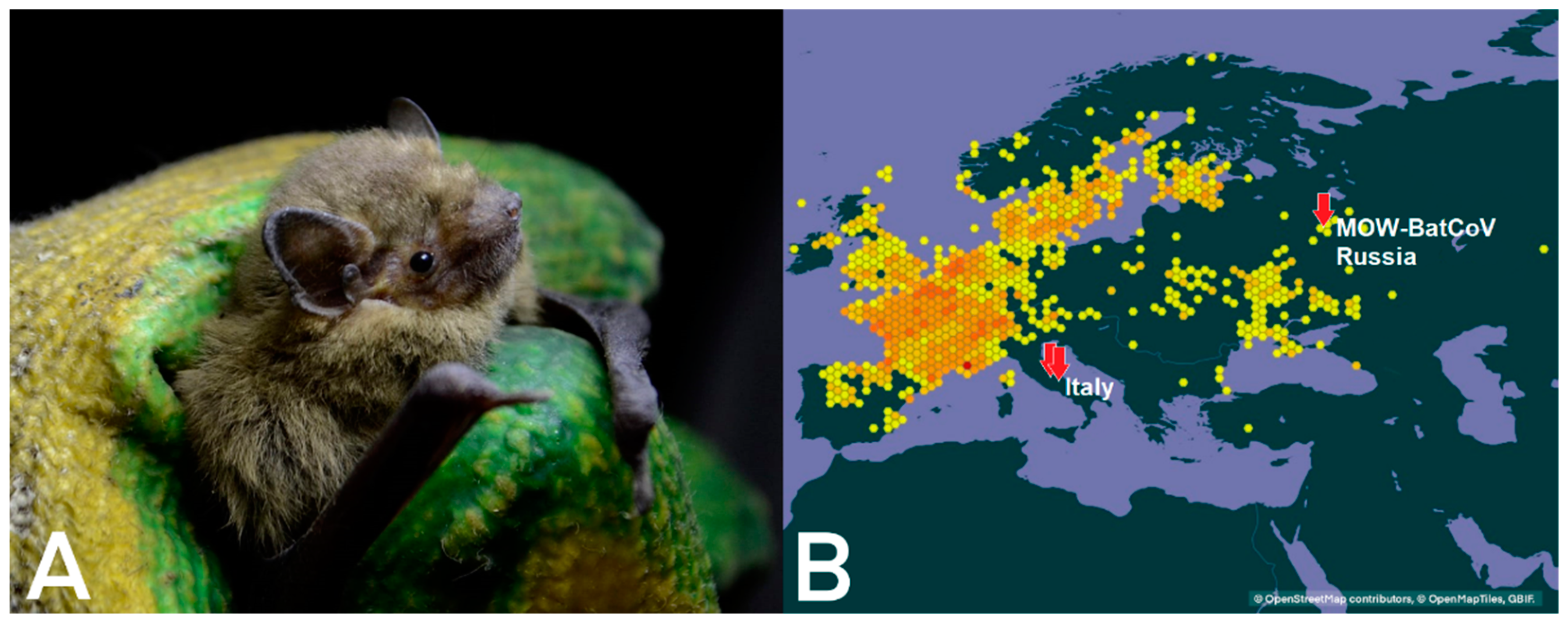 Ijerph 20 03702 g001