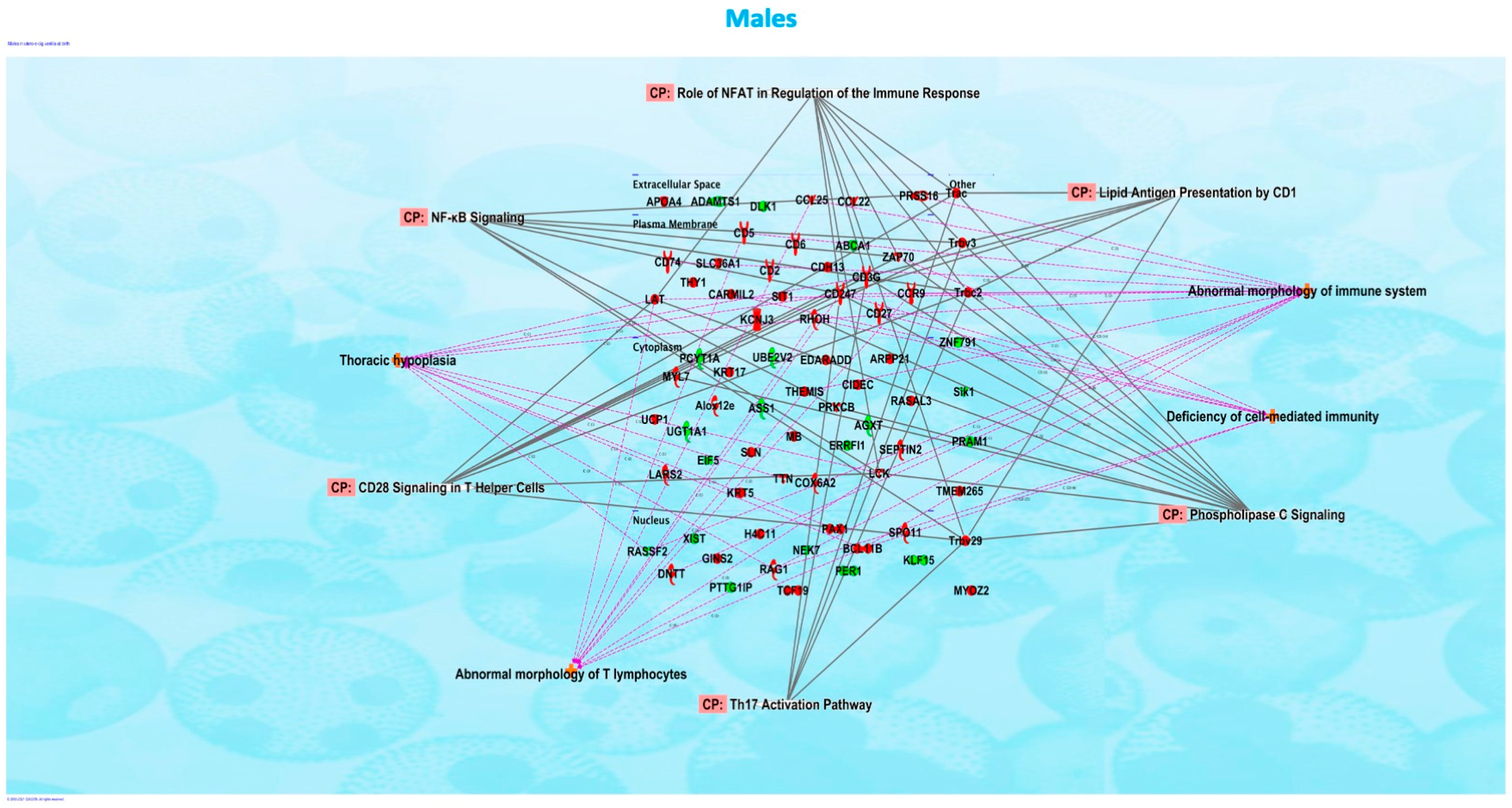 Ijerph 20 03710 g002