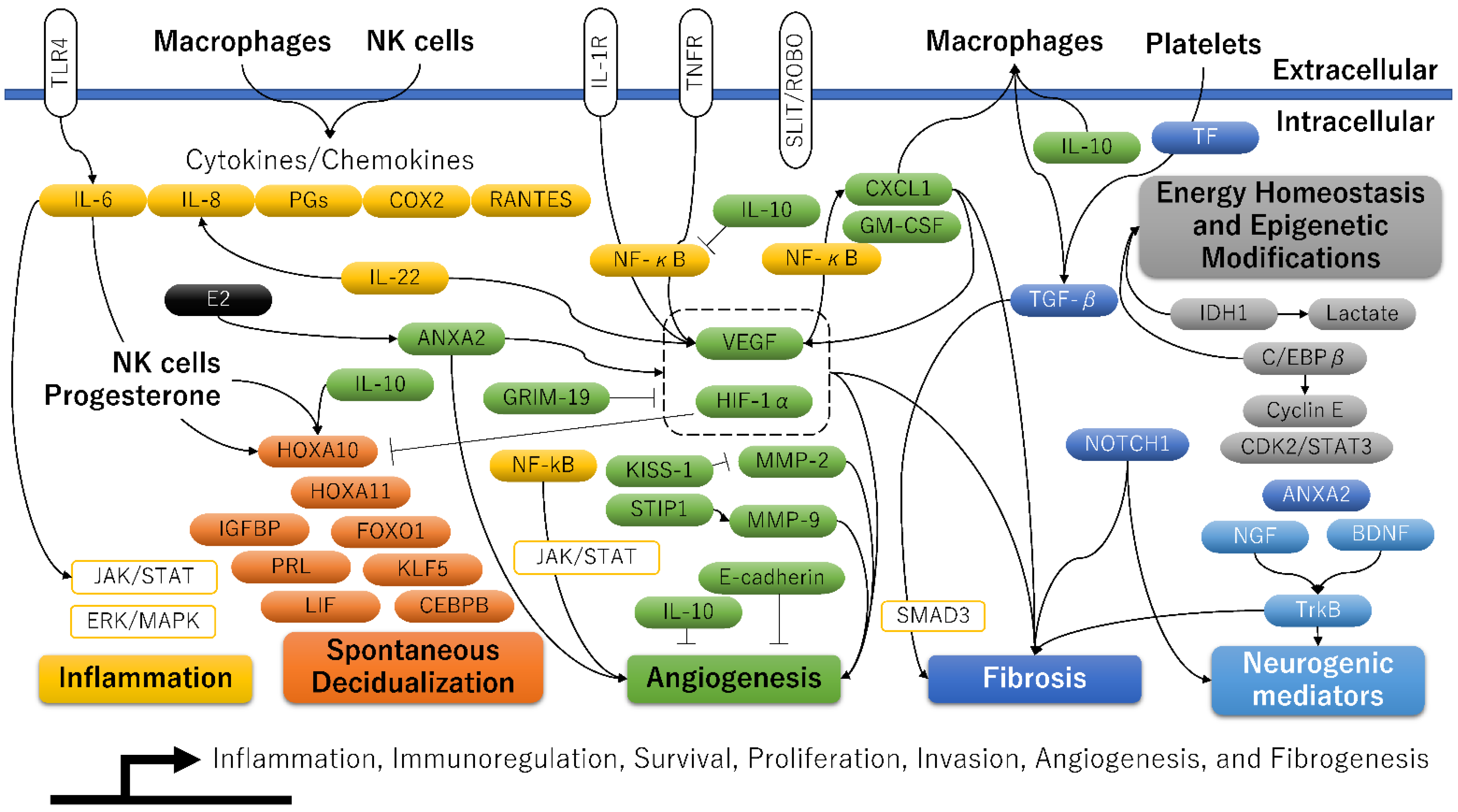 Ijerph 20 03762 g002 Ijerph 20 03762 g002