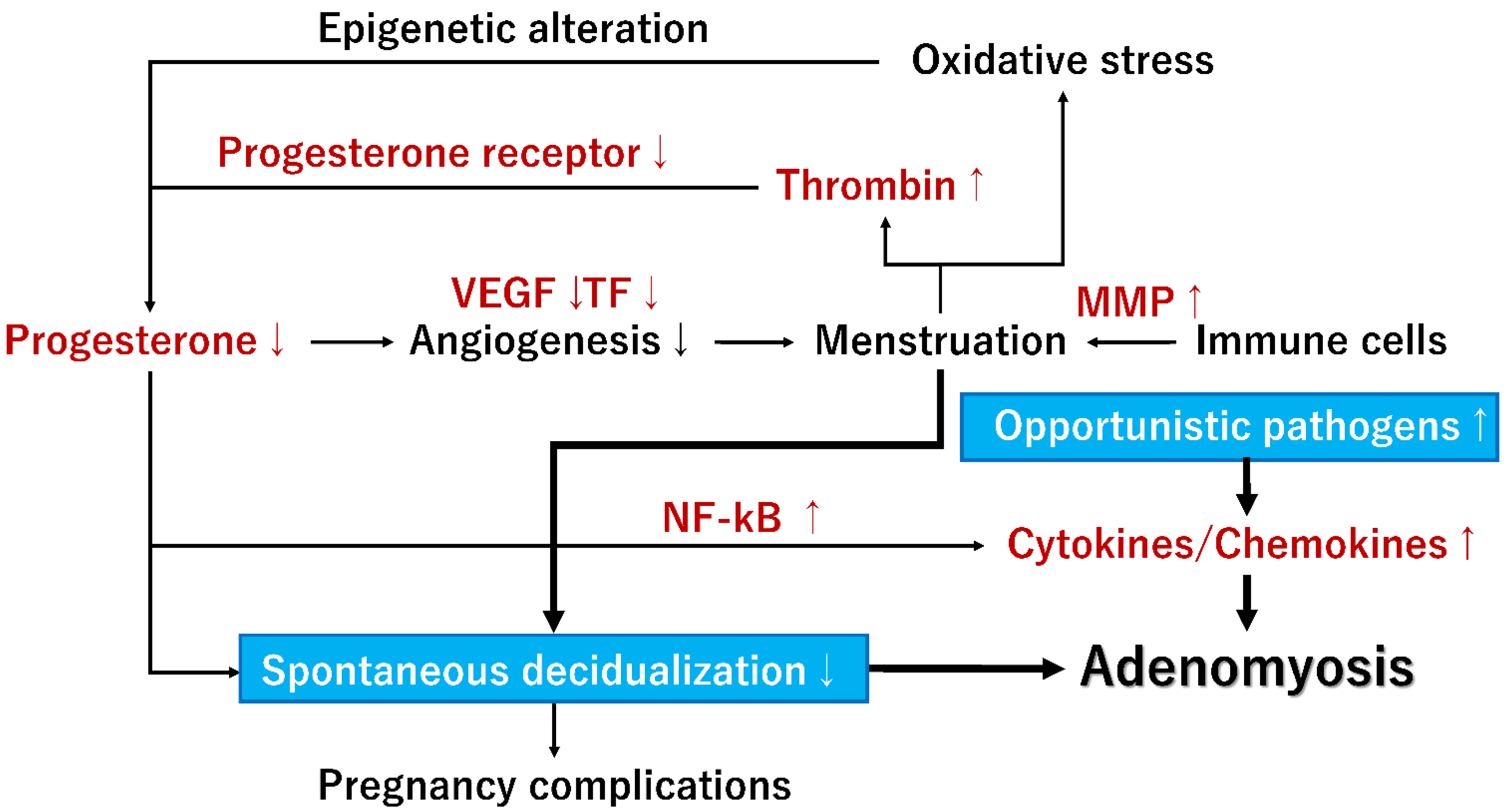 Ijerph 20 03762 g003 Ijerph 20 03762 g003