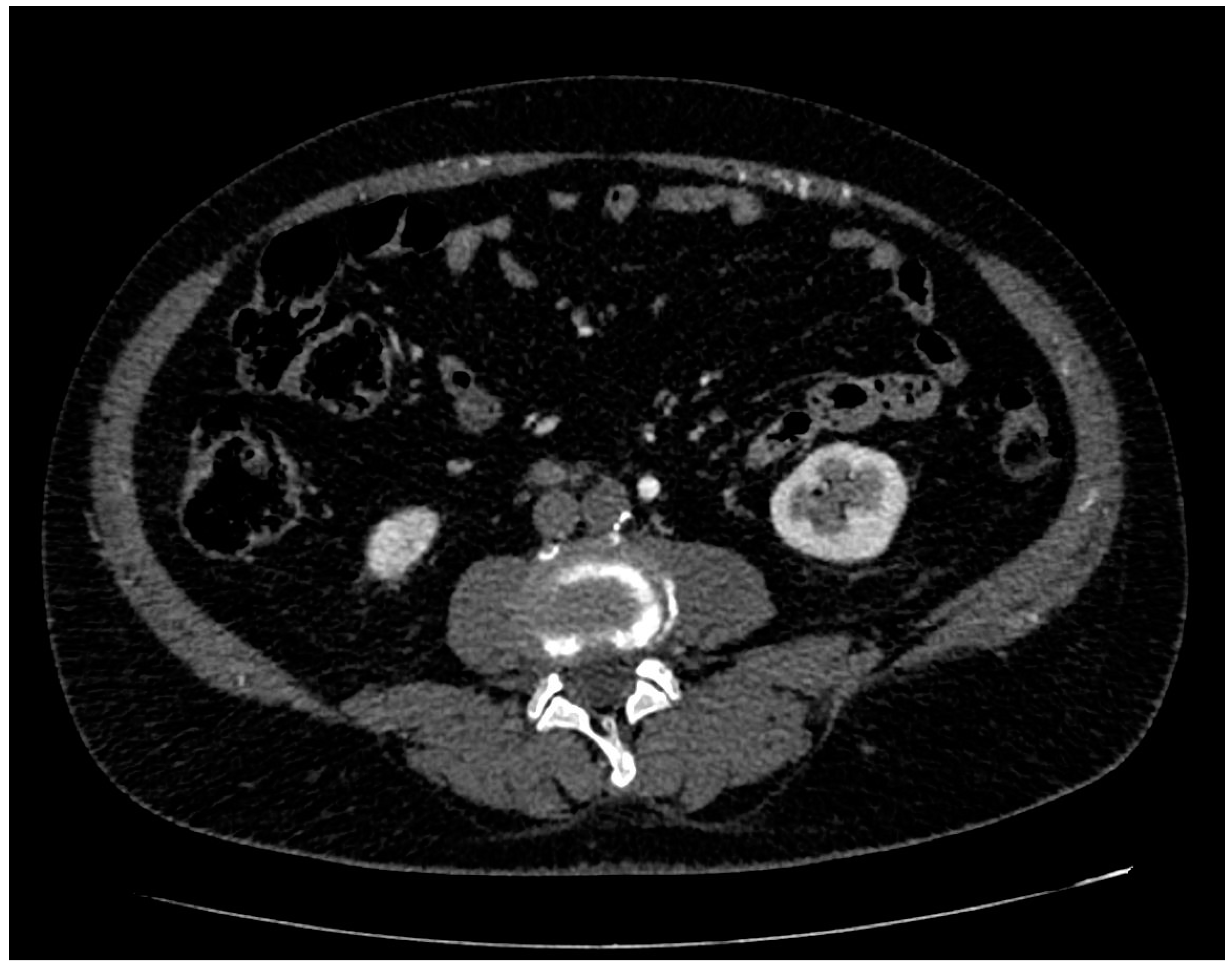 Ijerph 20 03868 g001