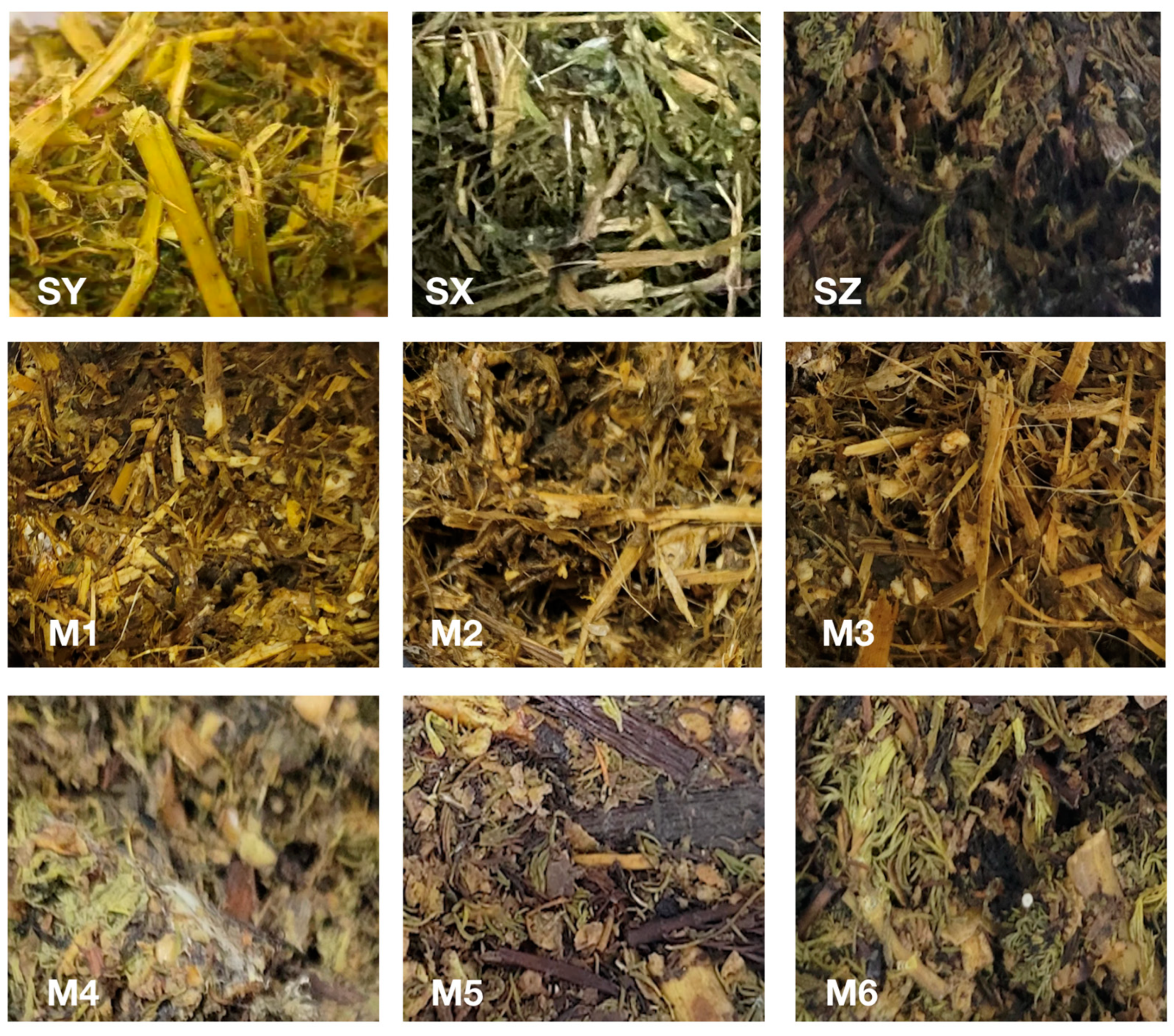 Ijerph 20 03884 g001