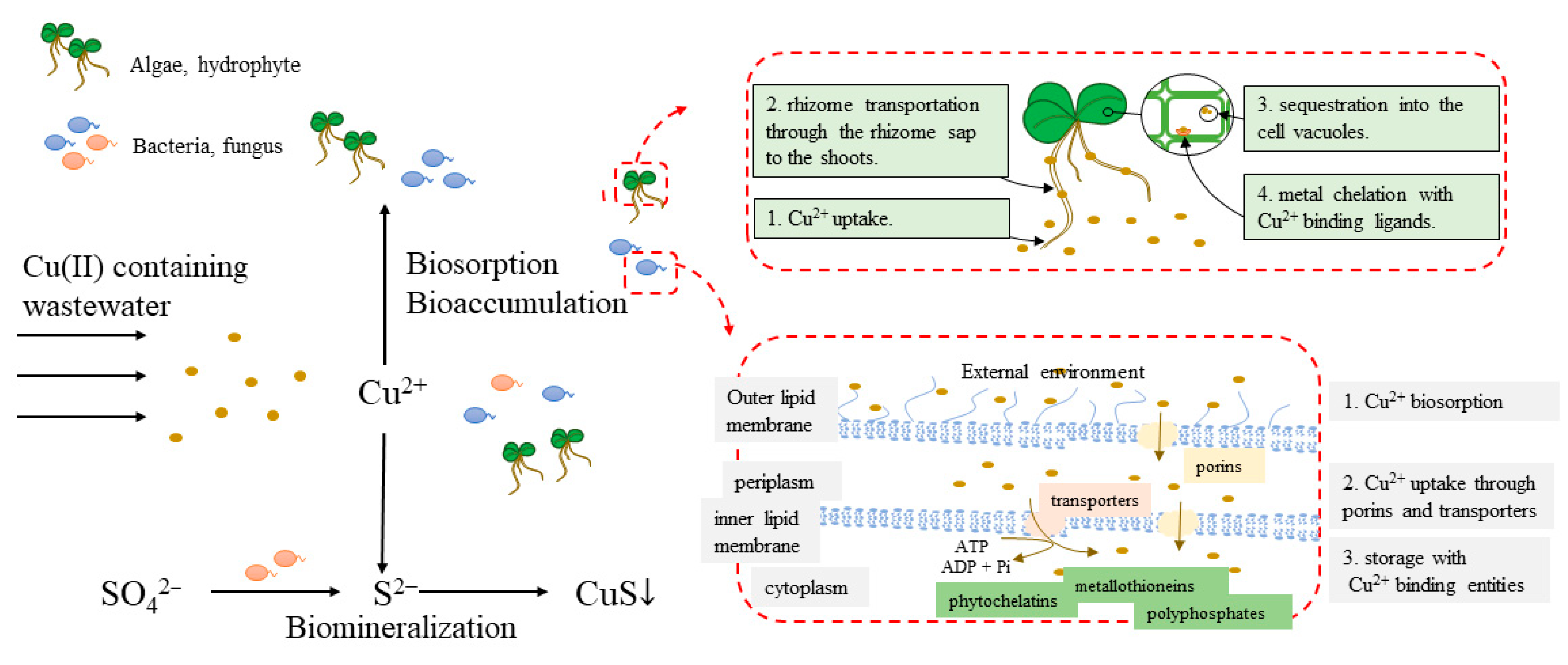 Ijerph 20 03885 g004