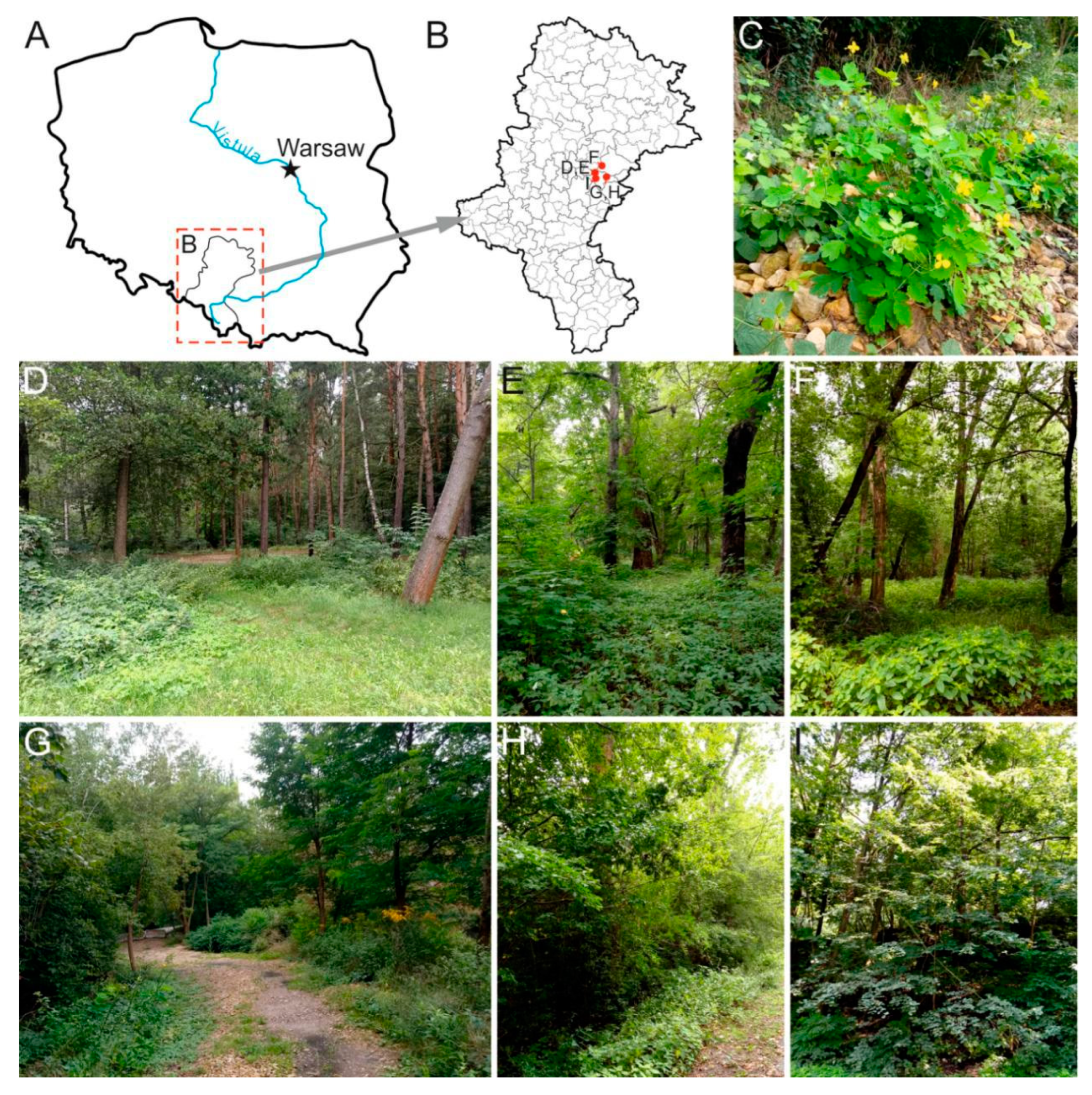 Ijerph 20 03887 g001