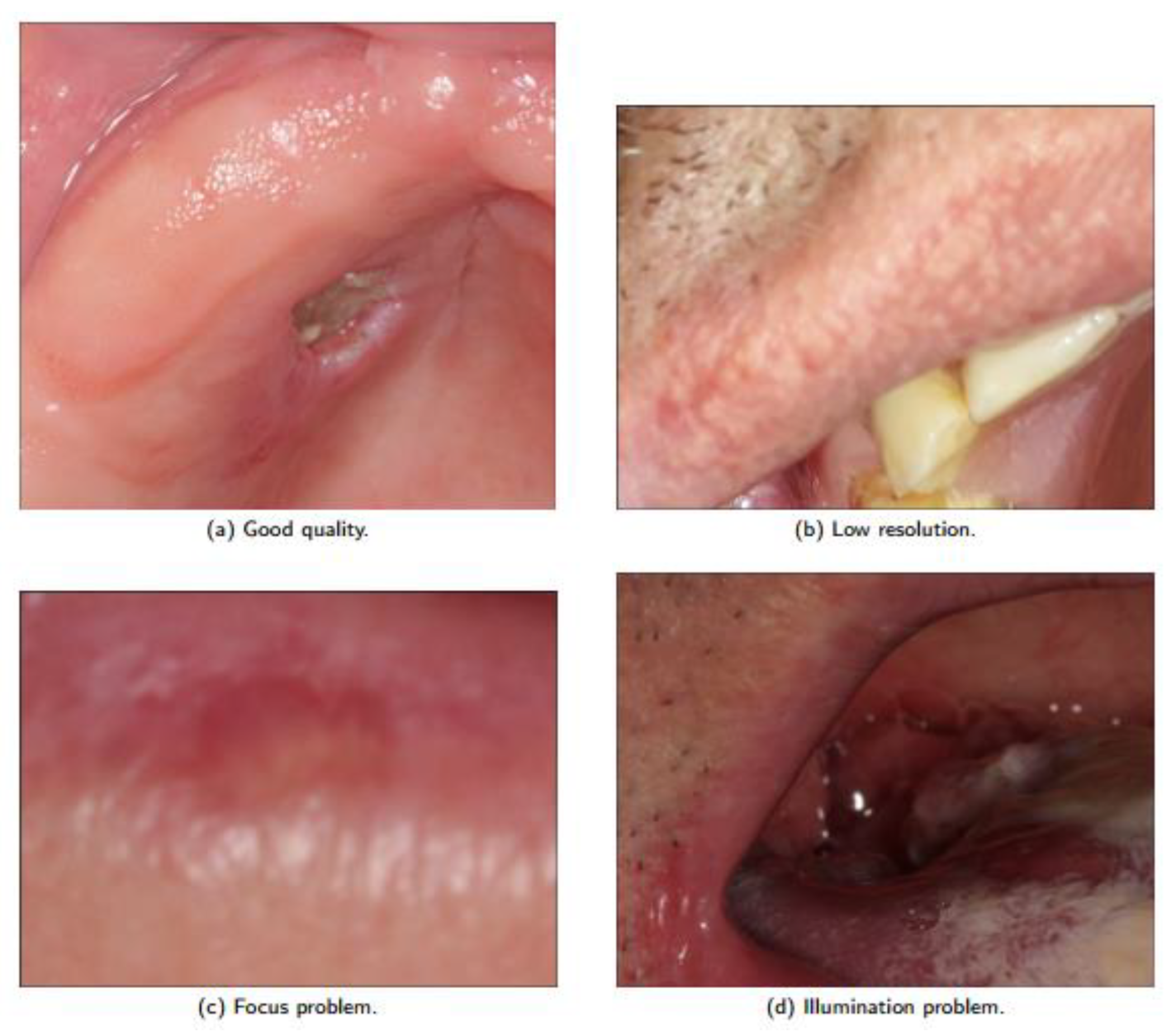 Ijerph 20 03894 g003