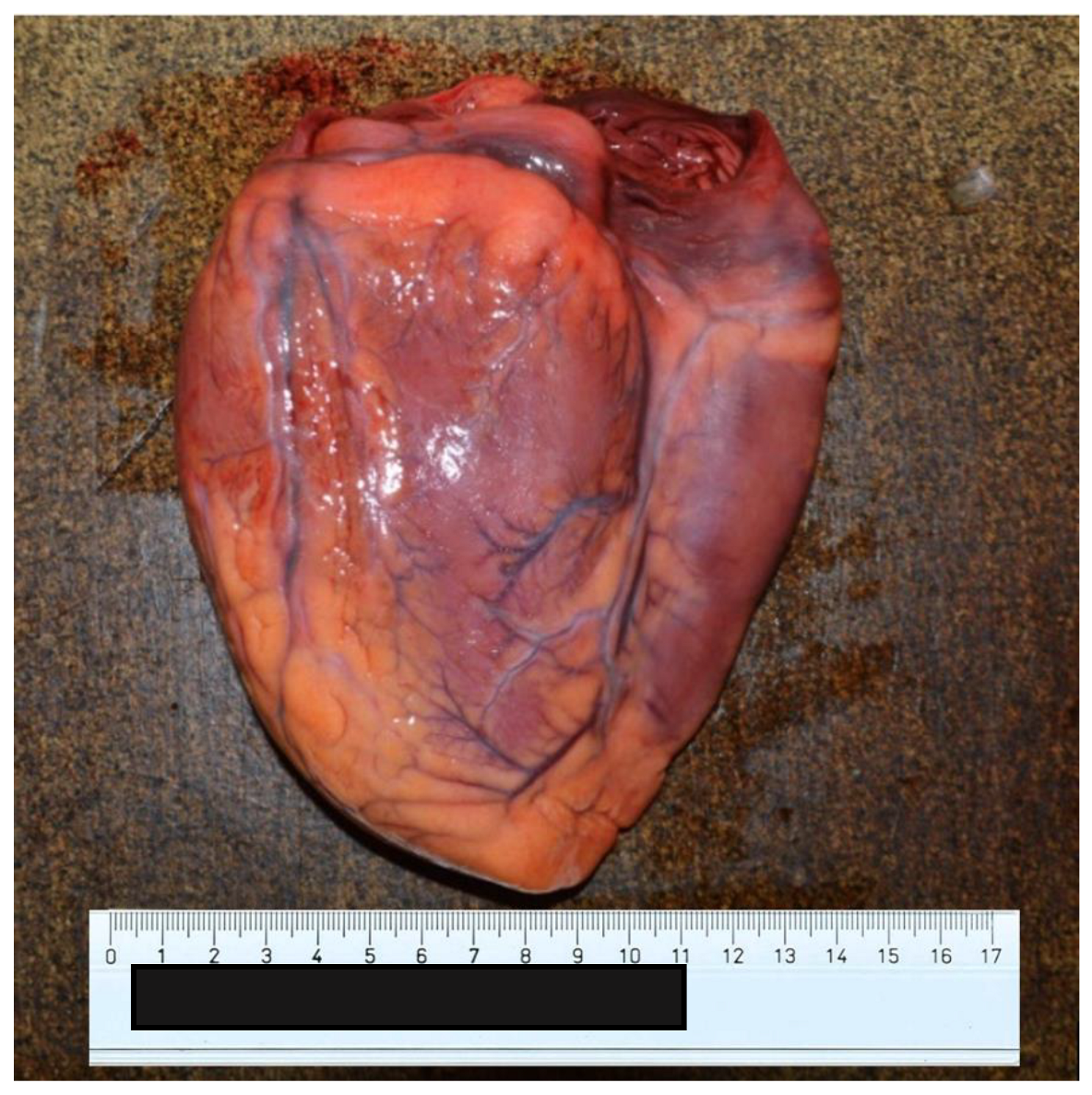 Ijerph 20 04028 g004