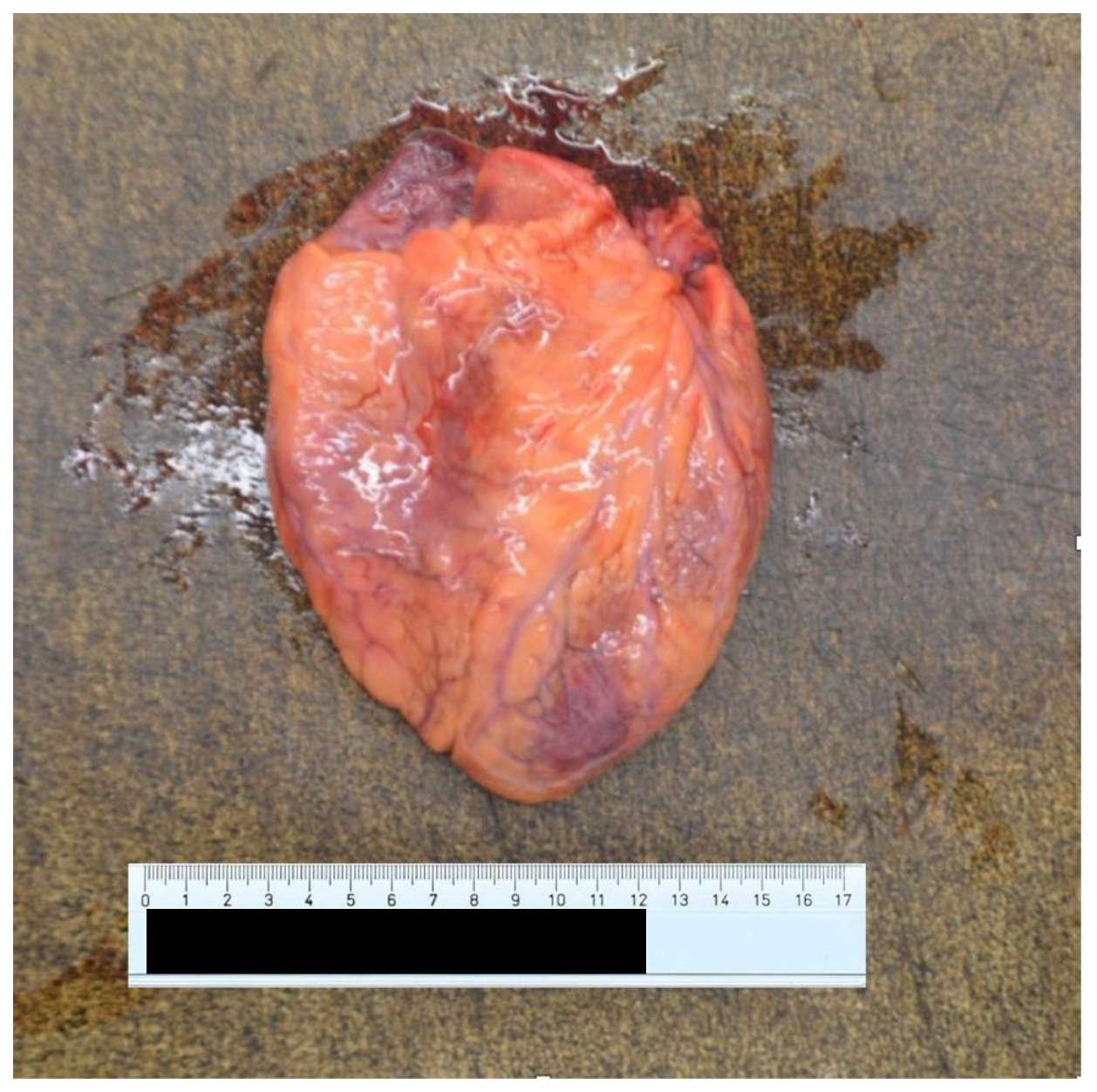 Ijerph 20 04028 g005