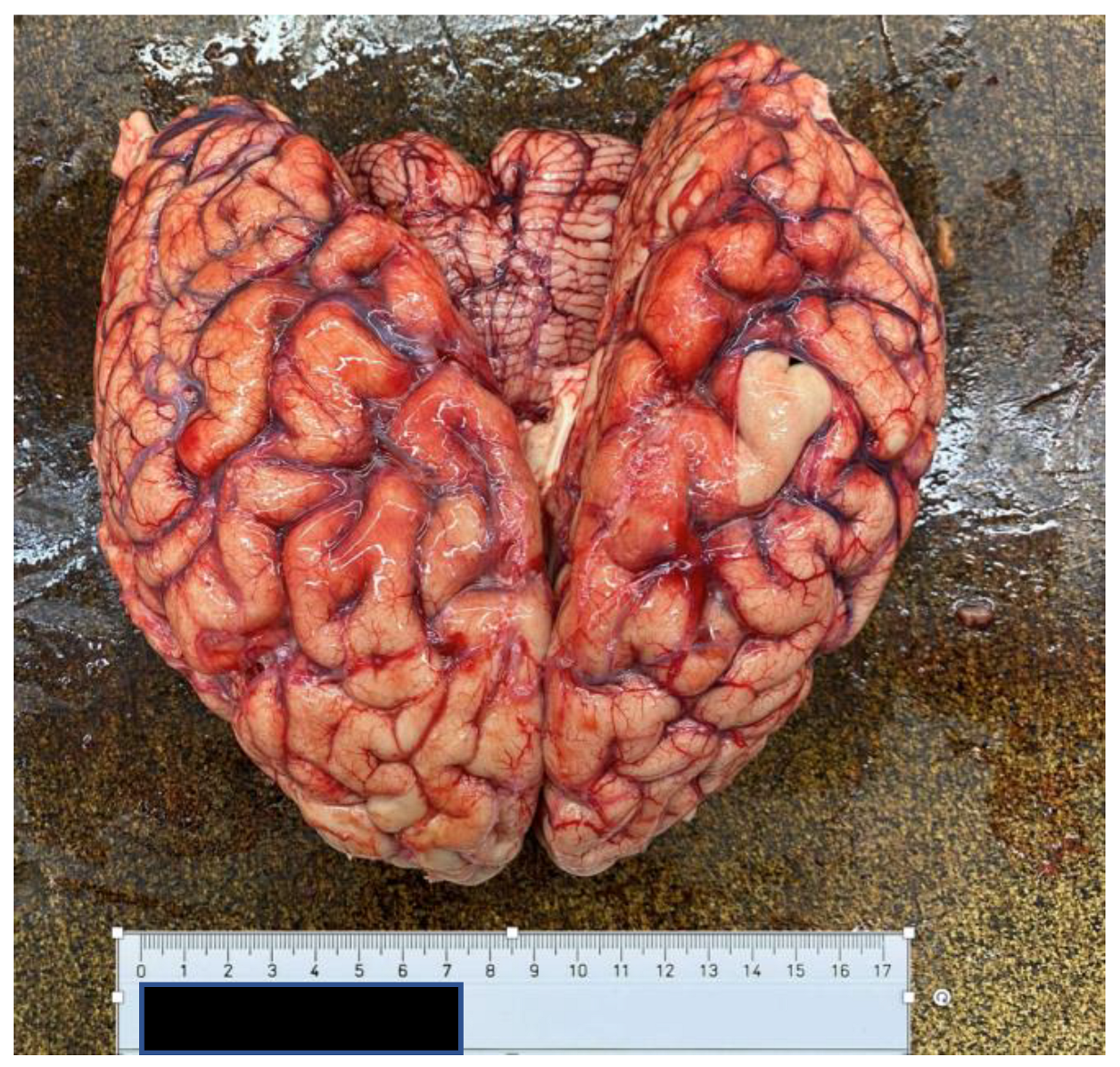 Ijerph 20 04028 g006