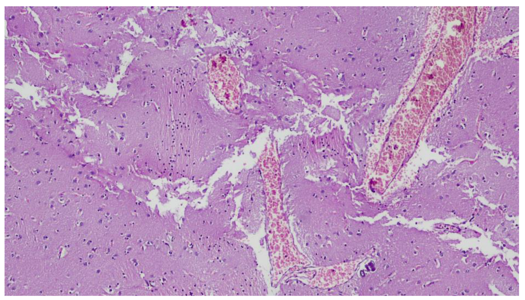 Ijerph 20 04028 g008