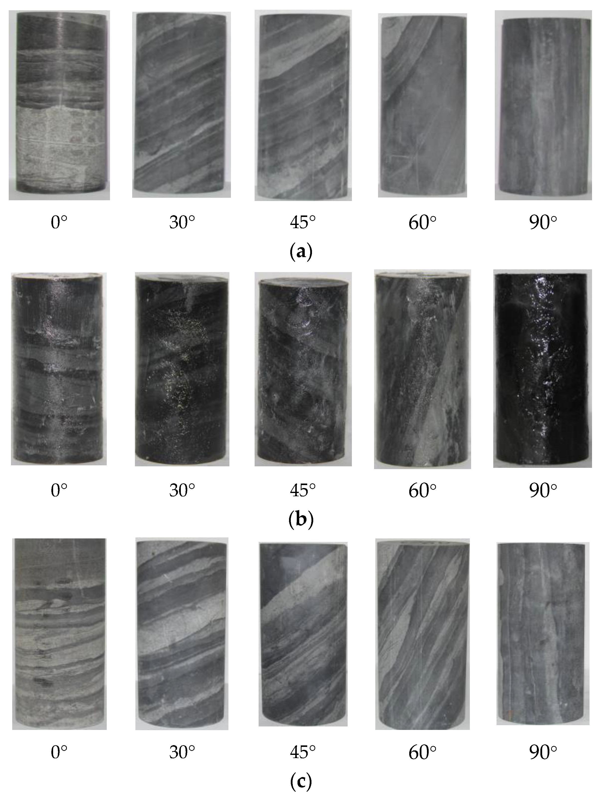 Ijerph 20 04055 g001