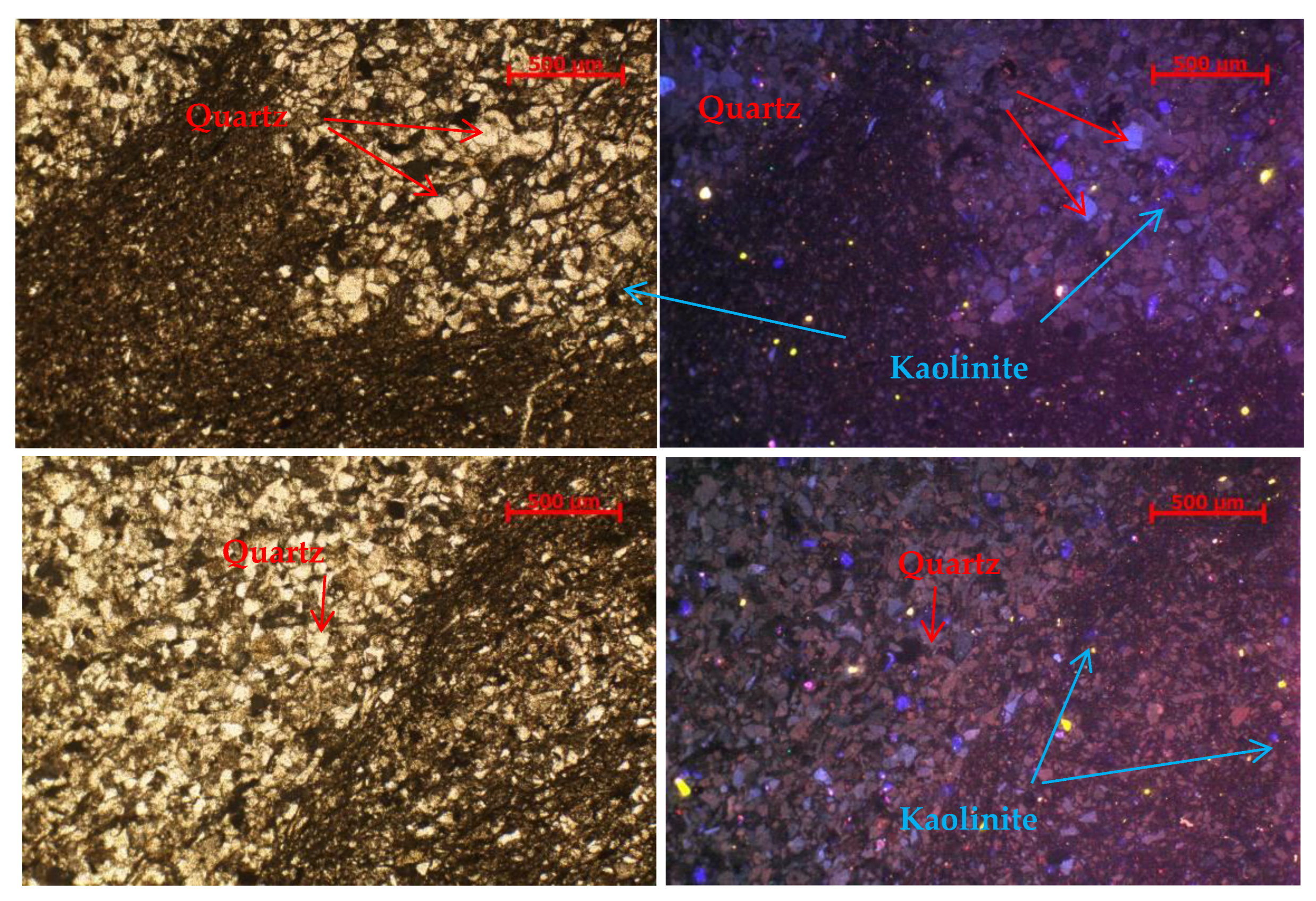 Ijerph 20 04055 g002