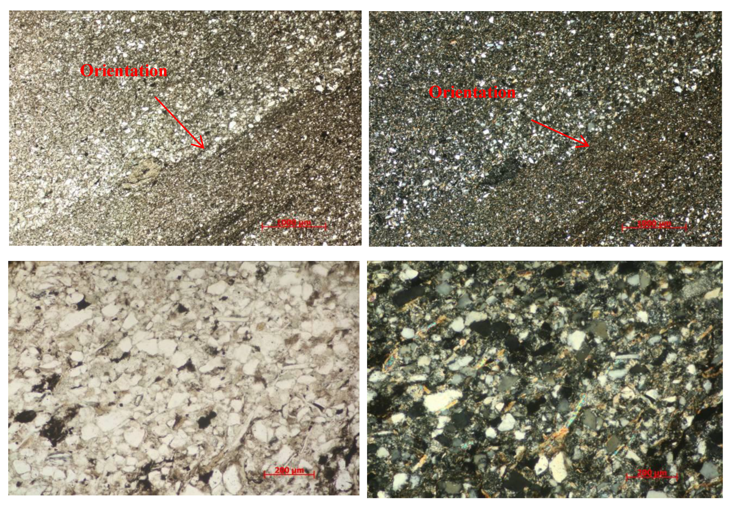 Ijerph 20 04055 g003