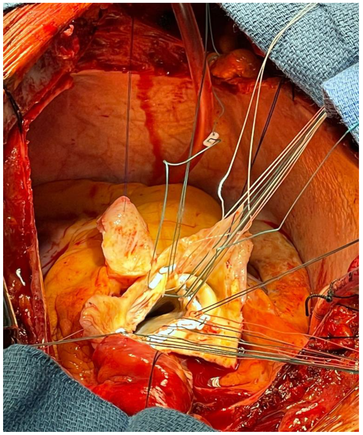 Ijerph 20 04094 g006 Ijerph 20 04094 g006