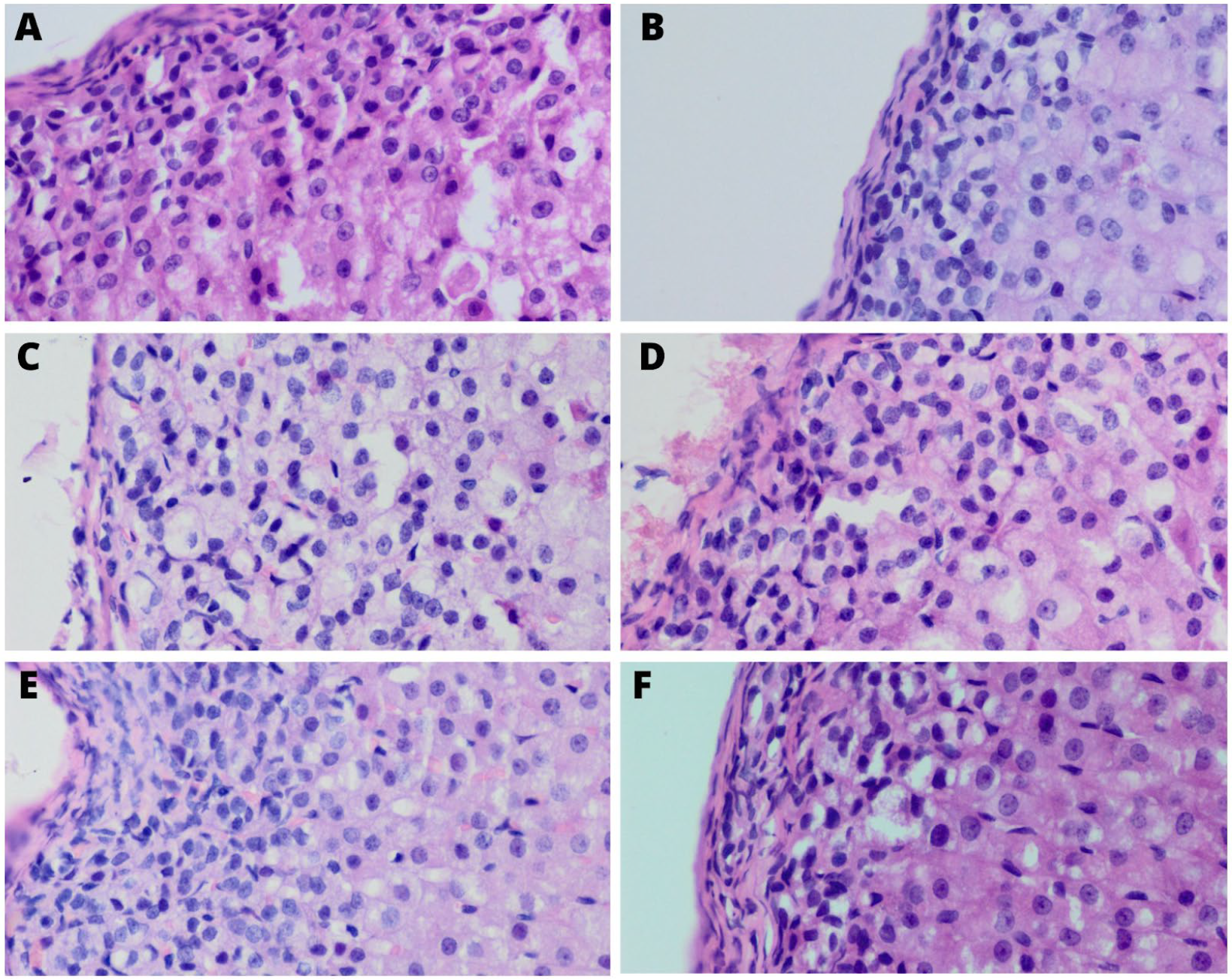 Ijerph 20 04105 g002