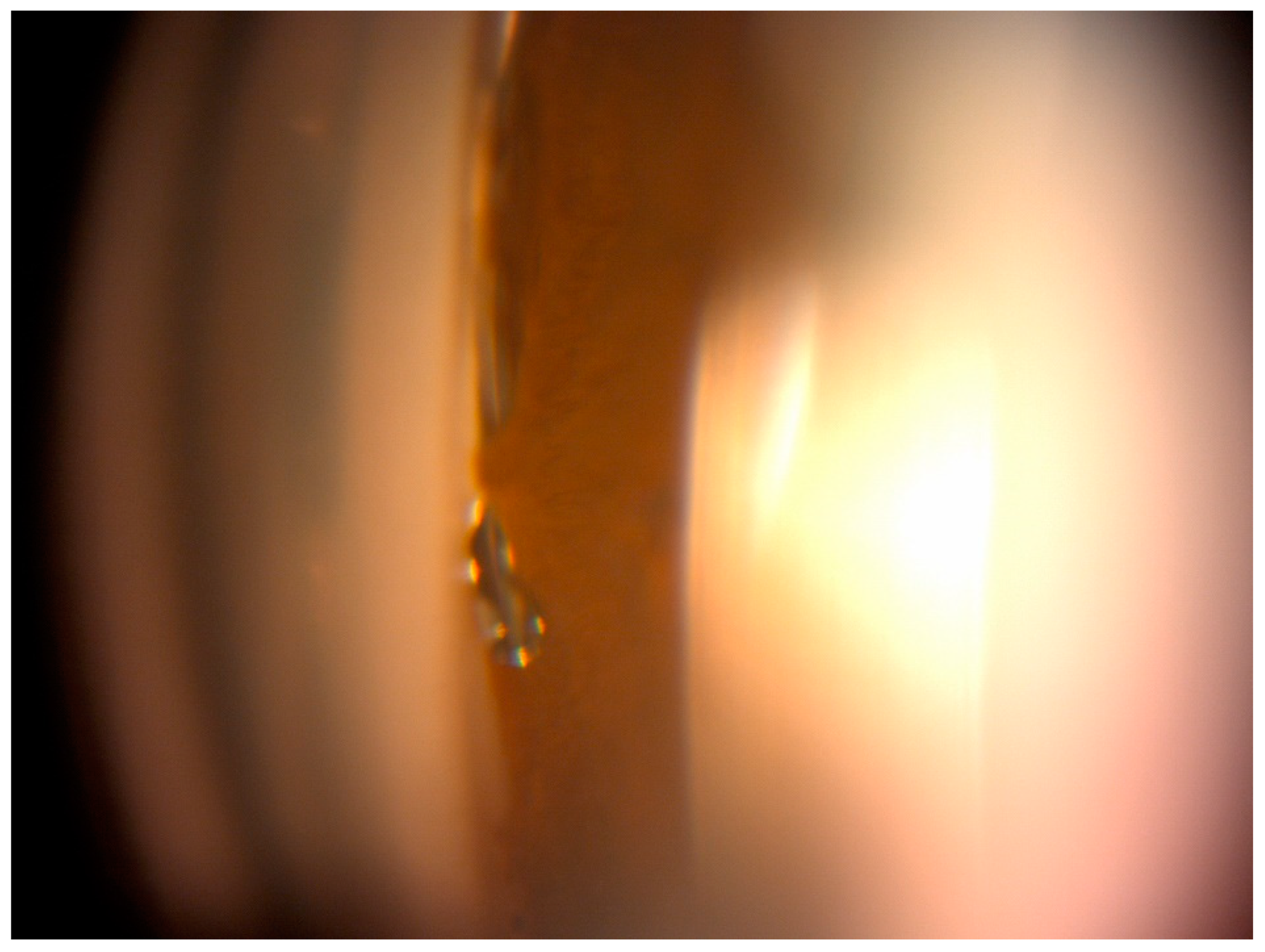 Ijerph 20 04152 g001 Ijerph 20 04152 g001