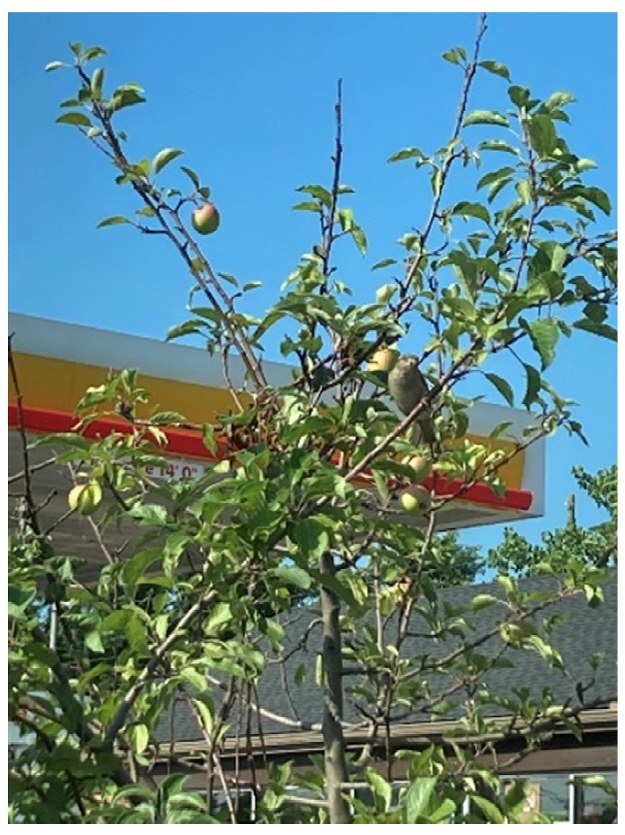 Ijerph 20 04280 g001